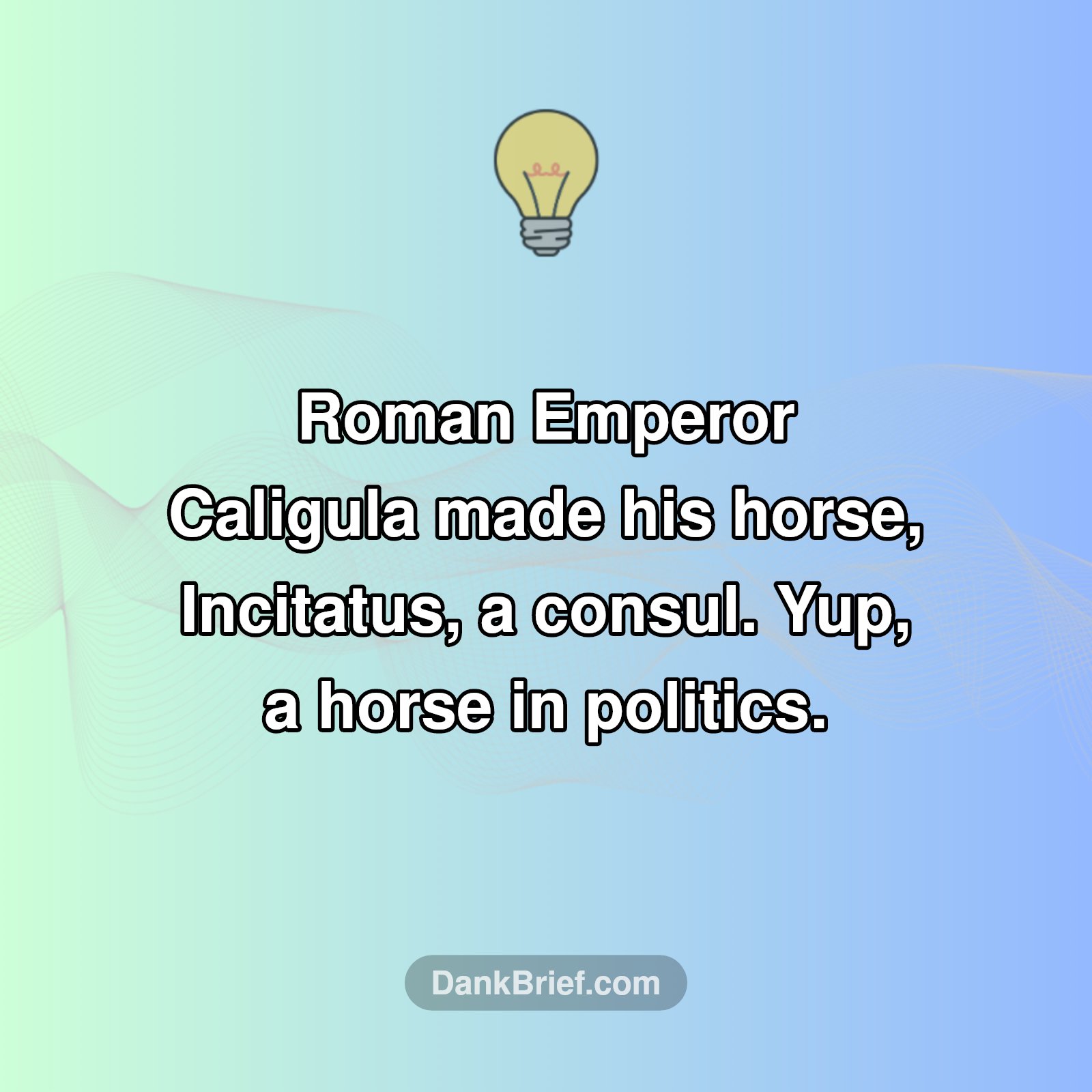 When a Horse Ran Rome?! 🤯