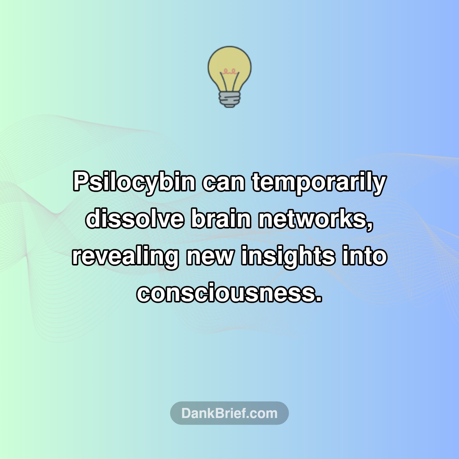 Brain Science Unlocked!