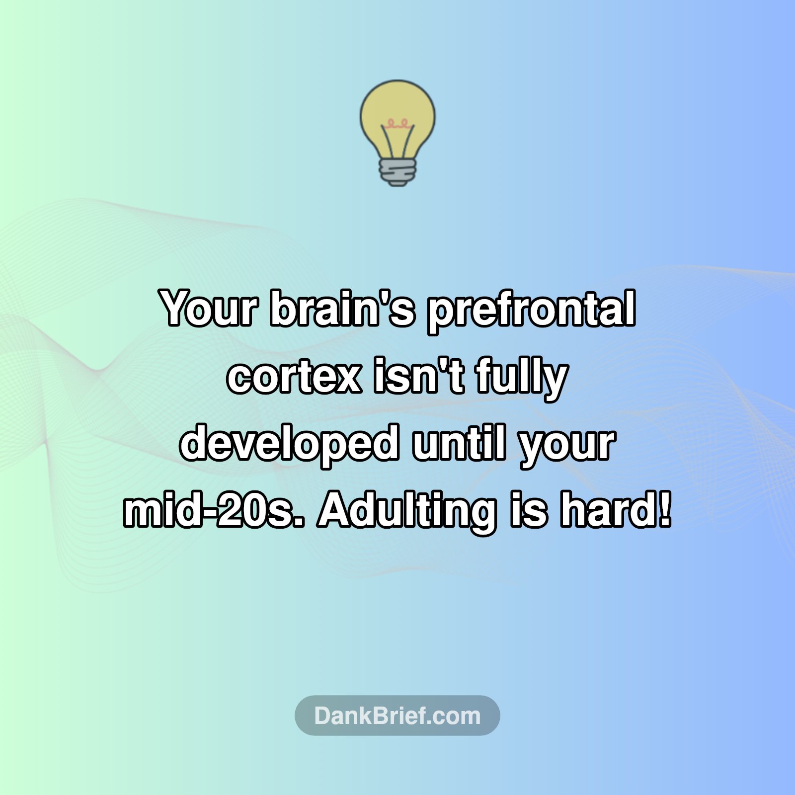 Brain Not Fully Adult Yet?!