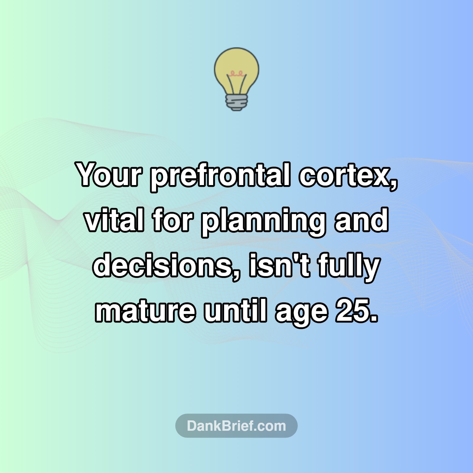 Your Brain Isn't Done Adulting Yet!