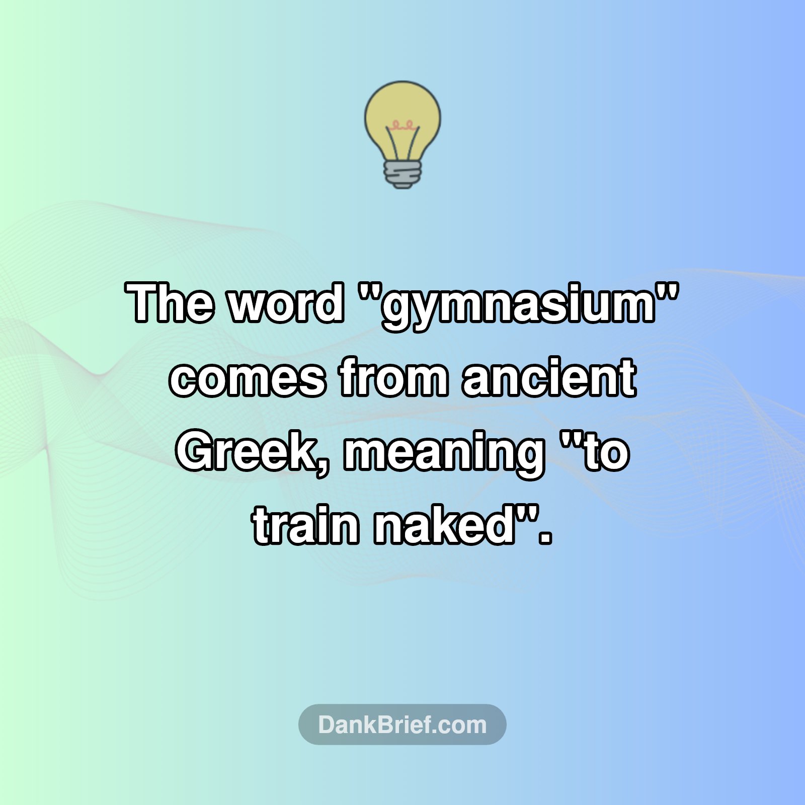 Gym Origins Revealed!