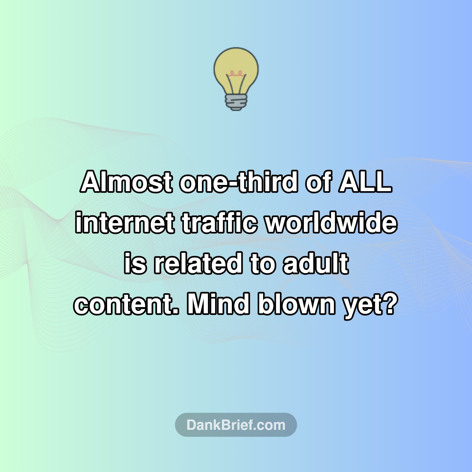 The Internet's Wildest Secret