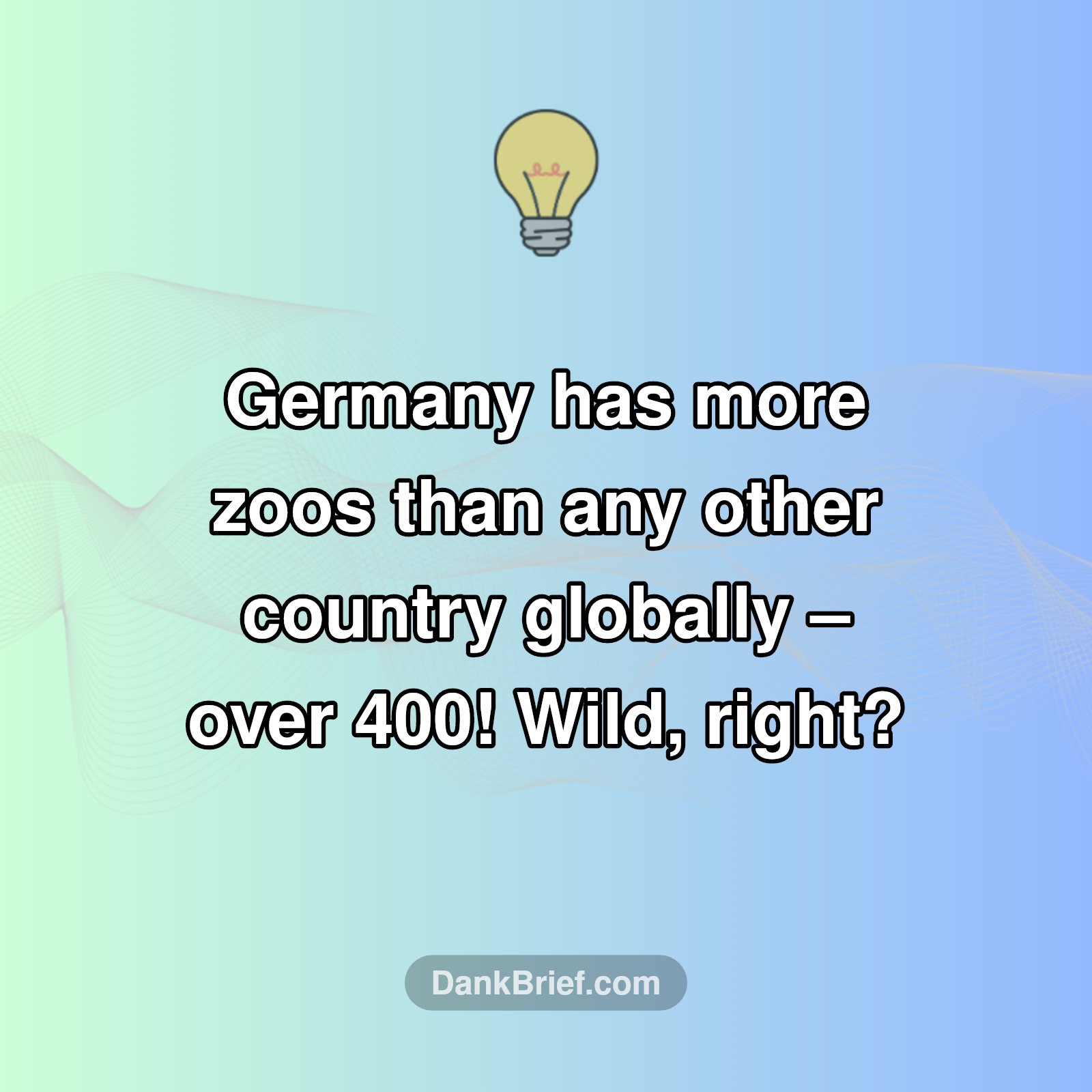 Germany's Wild Secret!