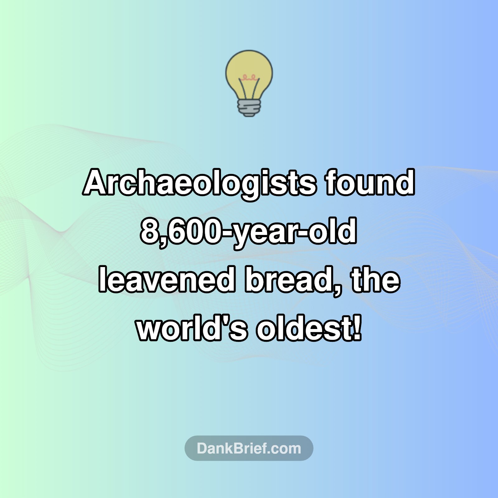 Ancient Eats: The Oldest Bread Ever Found!