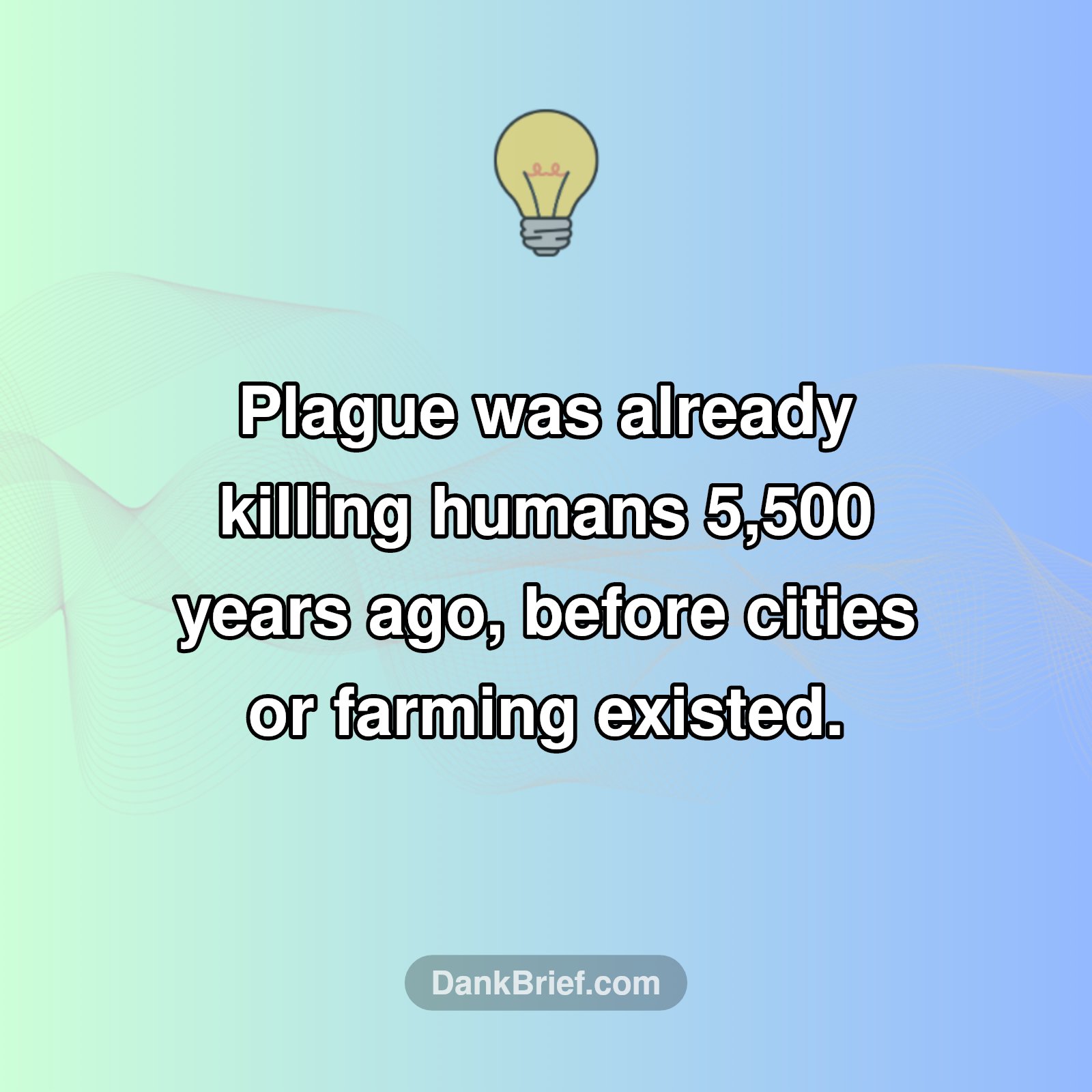 Ancient Disease Shocker: Plague's True Origin
