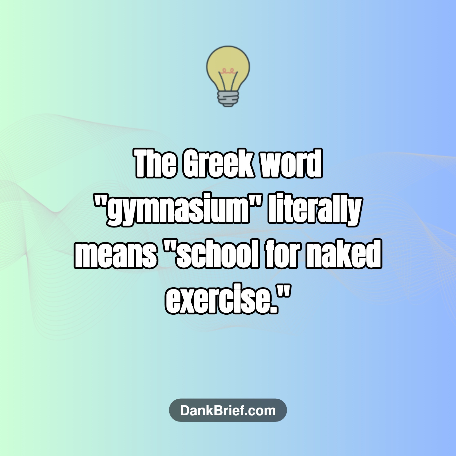 Did You Know…