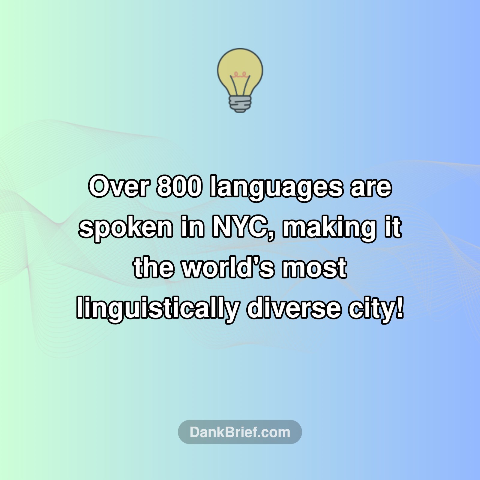 NYC's Linguistic Marvel!