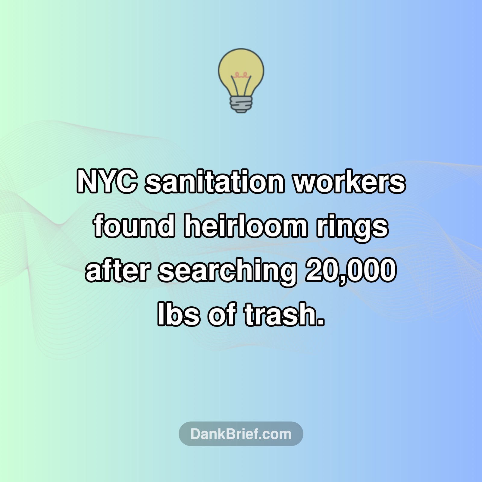 NYC's Wildest Finds!