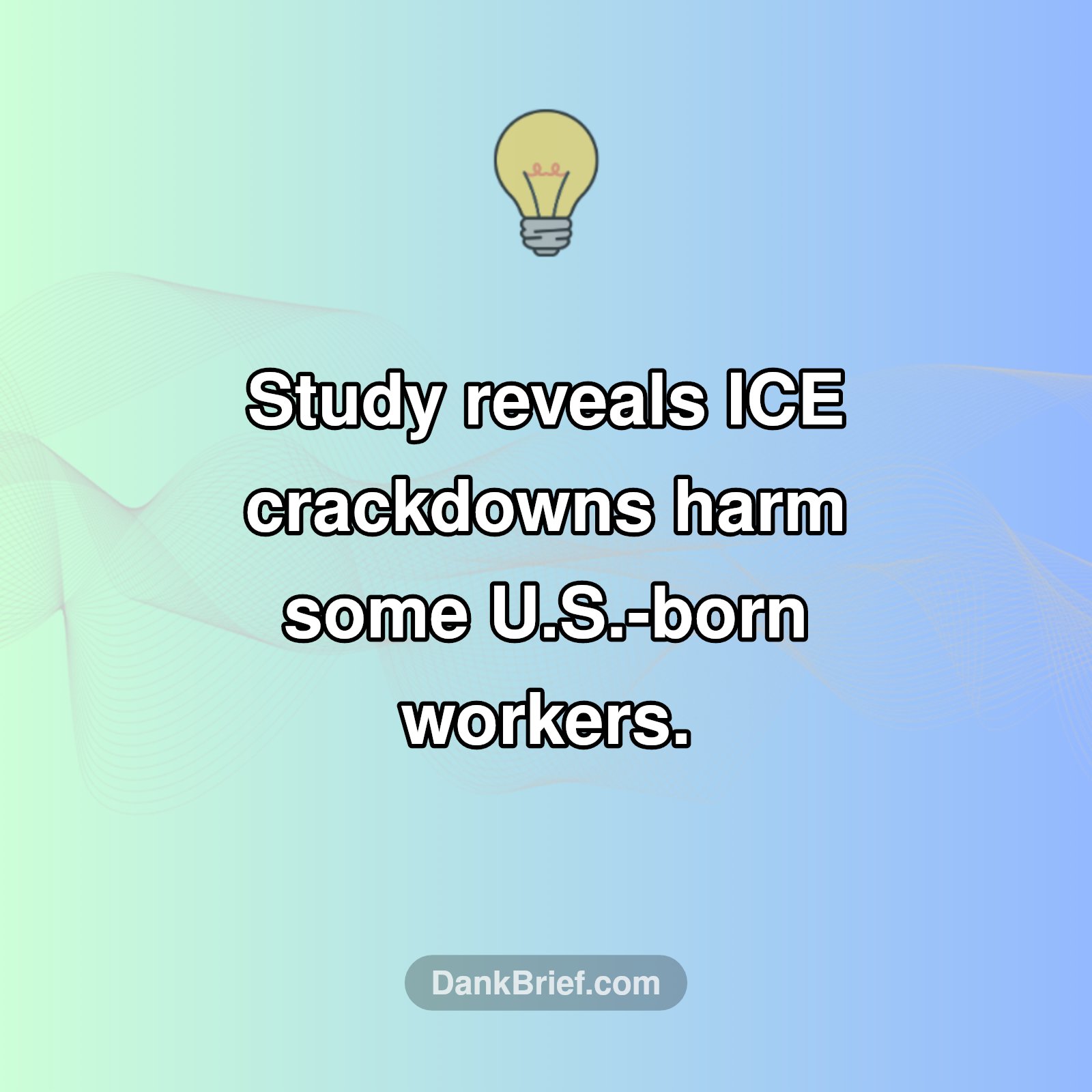 Unseen Impact: Immigration Enforcement