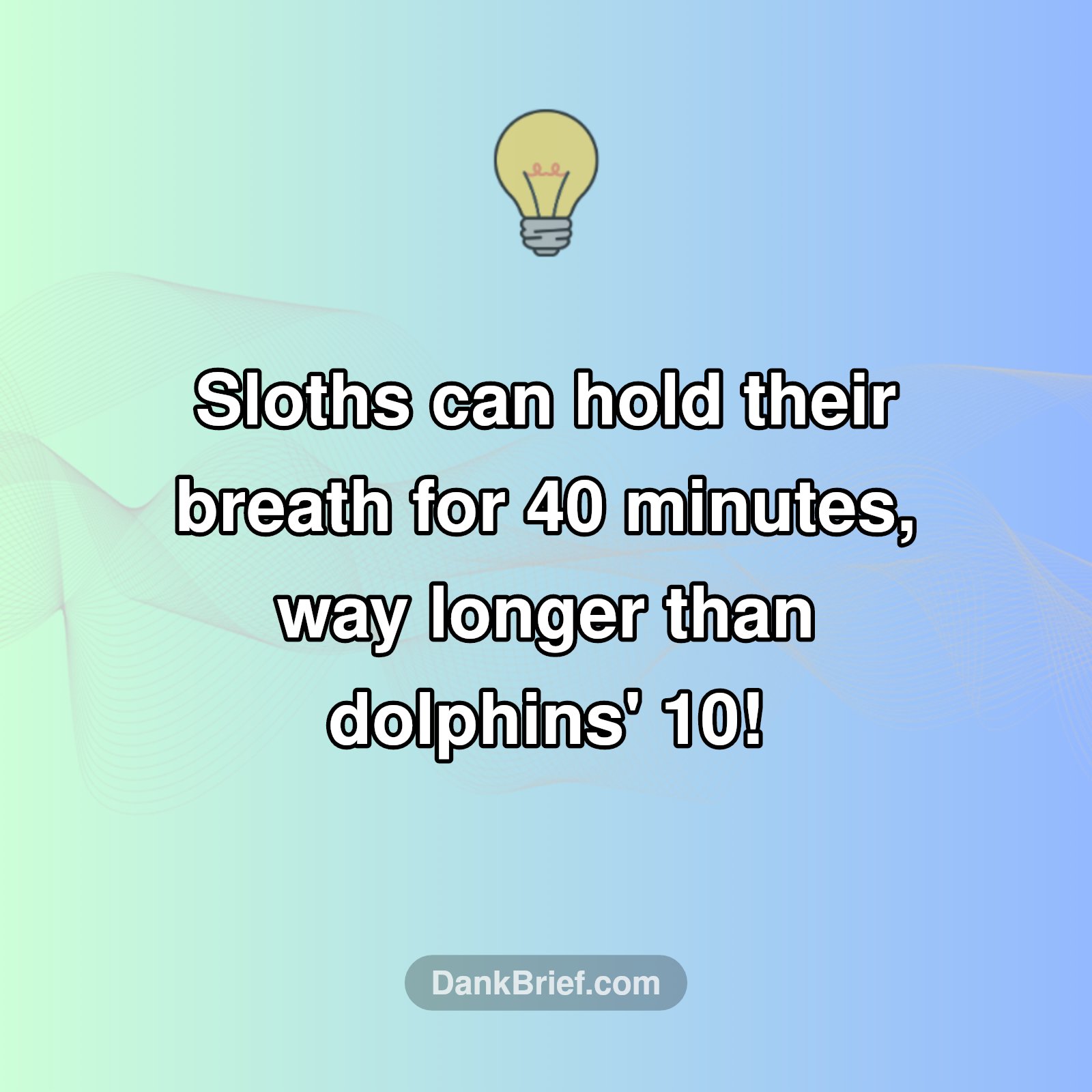 Sloth's Secret Superpower!