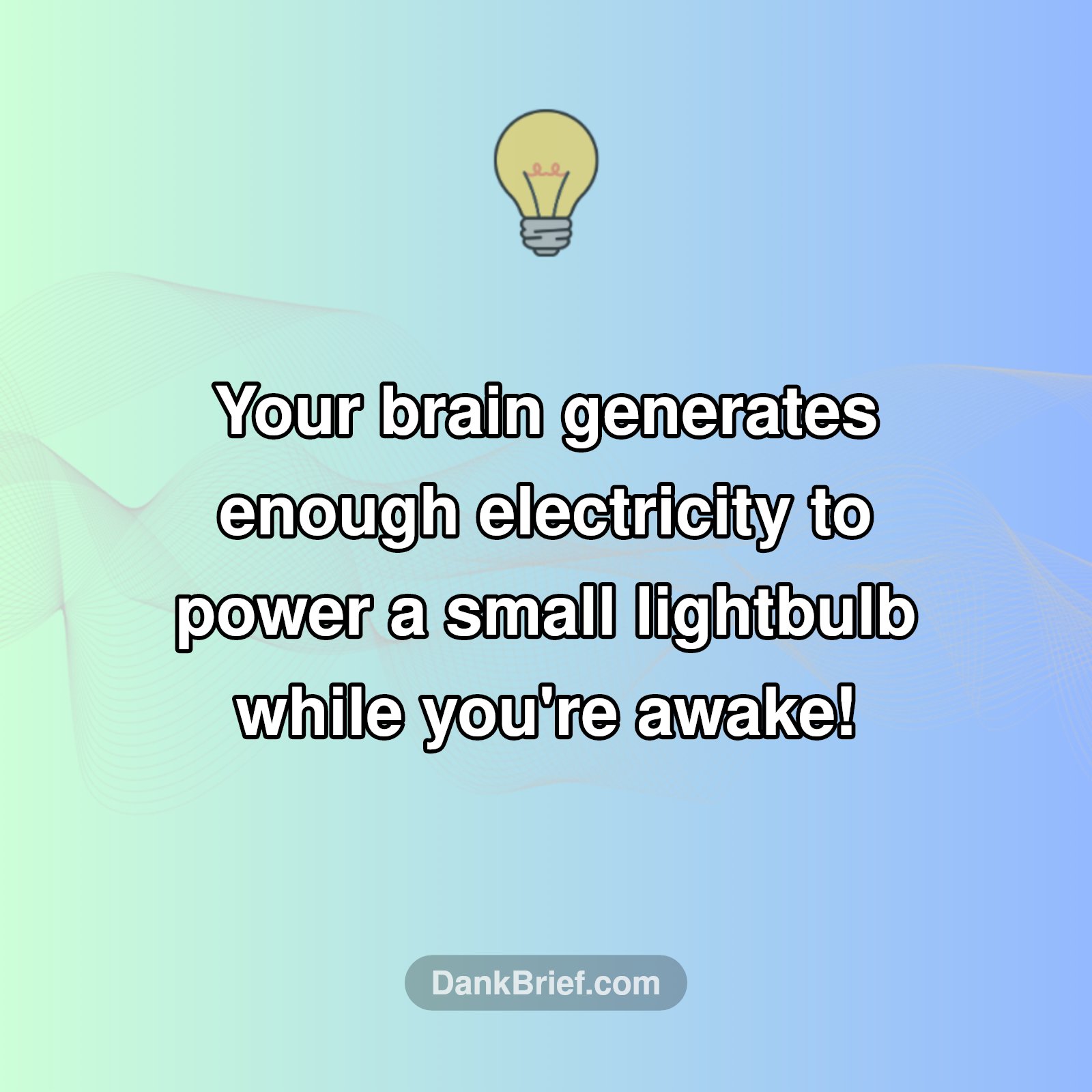 Your Brain's Secret Superpower!