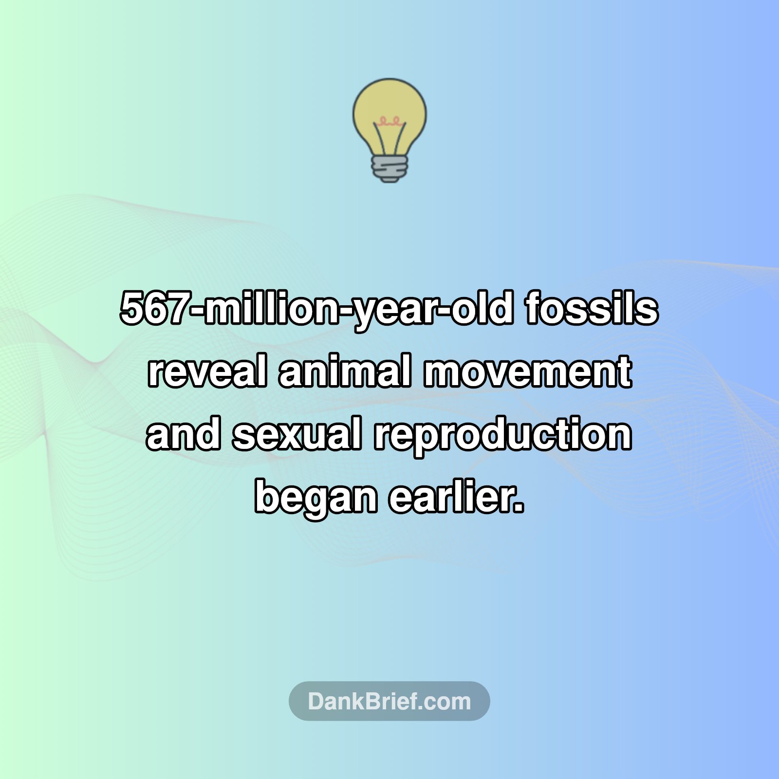 Life's Ancient Secret Unlocked!