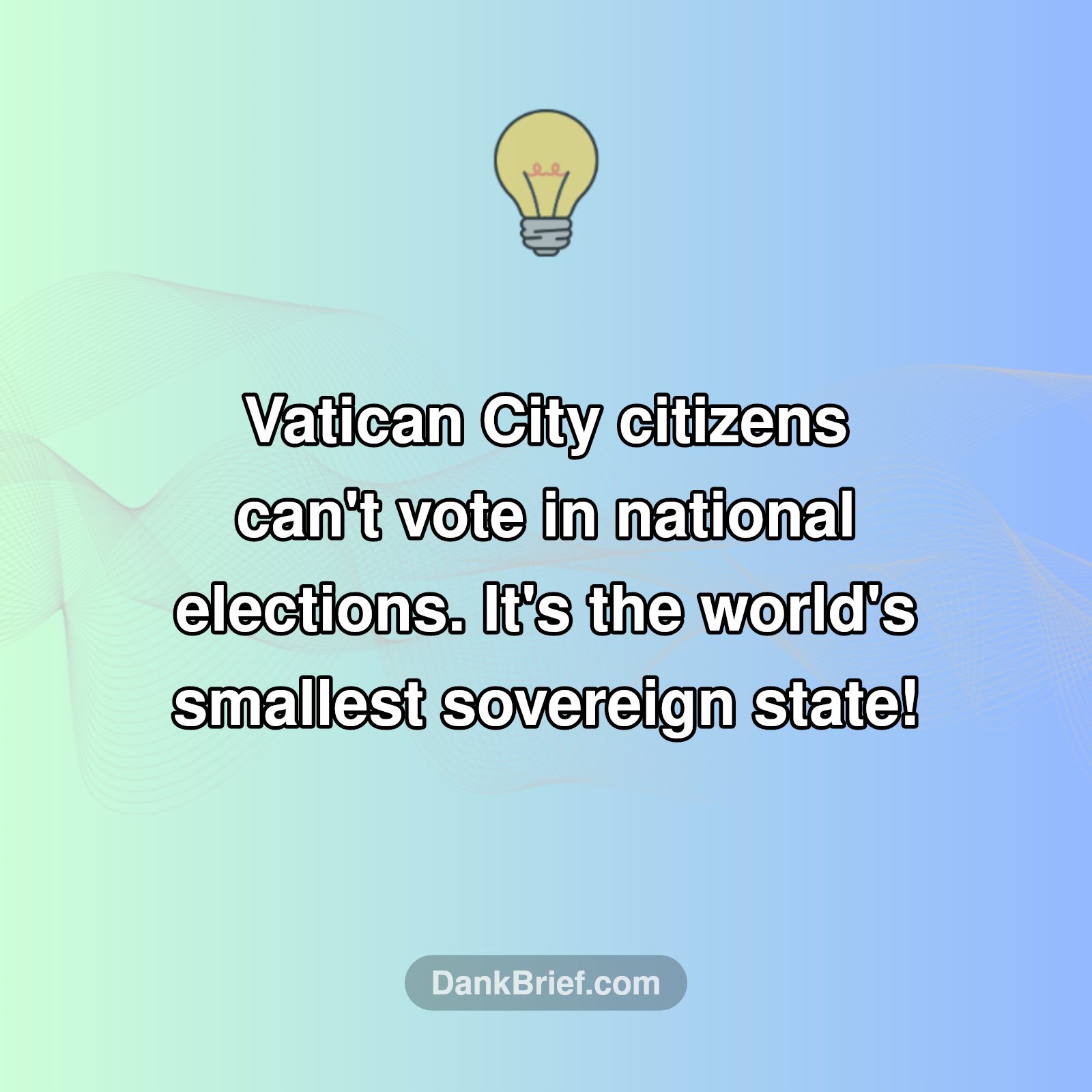 Wait, No Voting?!
