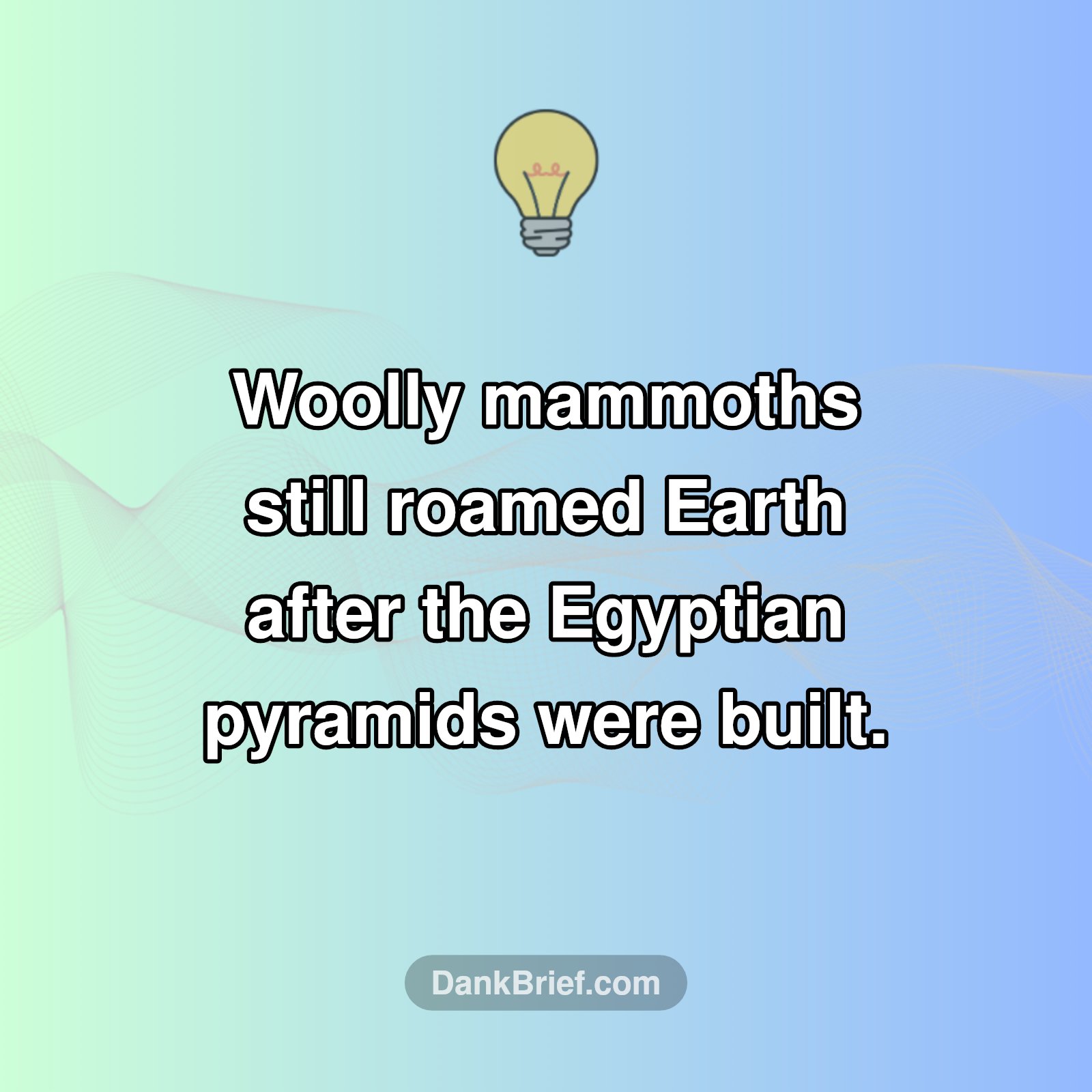 History's Wild Twist!
