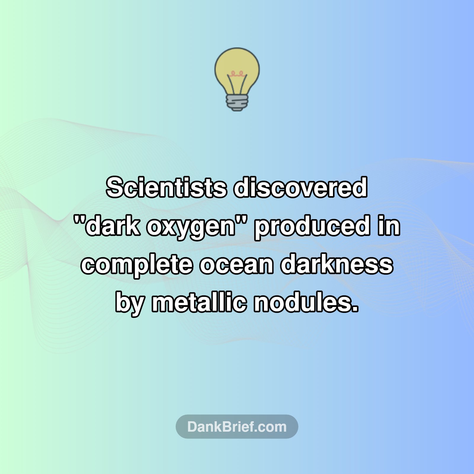 Mind-Blowing Ocean Discovery!