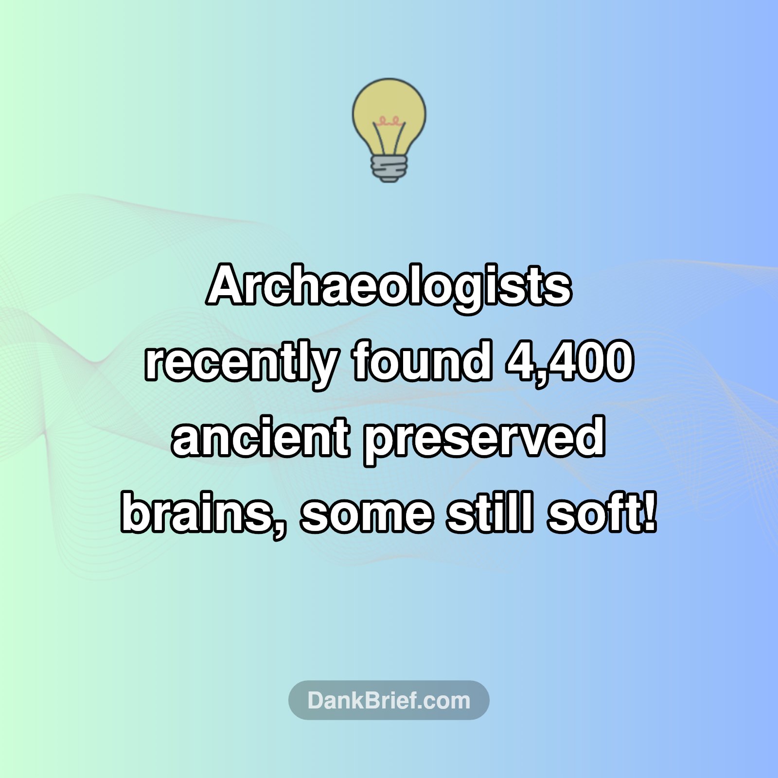 🤯 Ancient Brains: Still Soft After Millennia?!