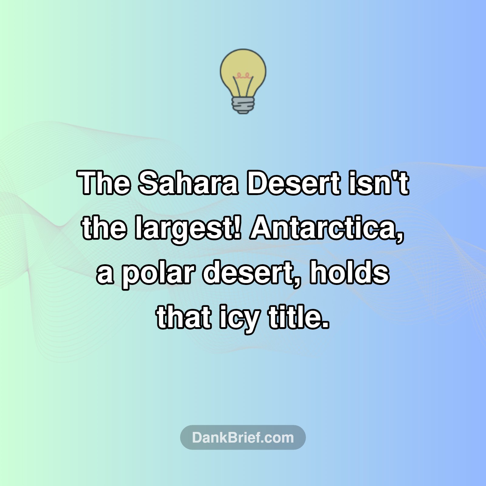 Mind BLOWN: The Real Biggest Desert?!