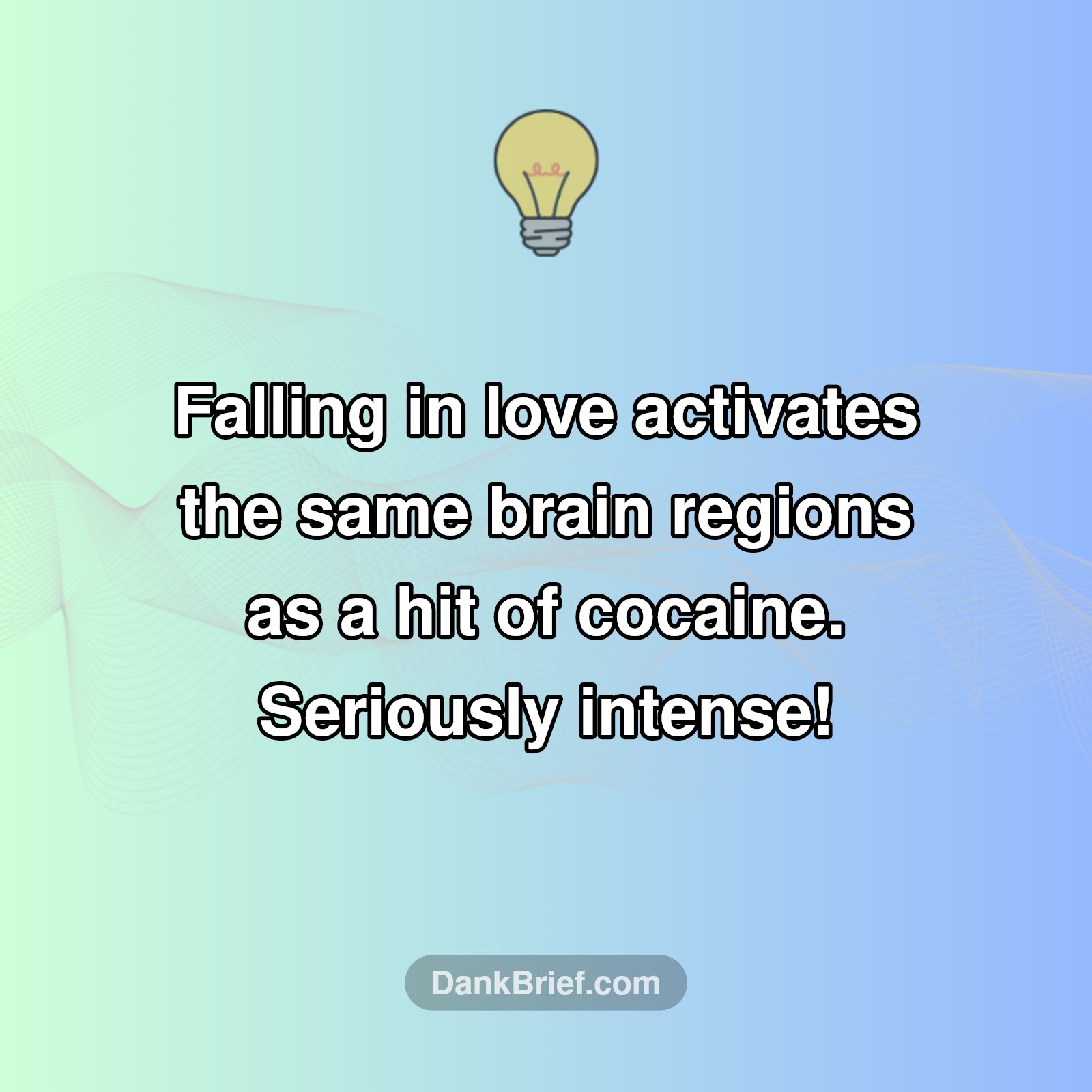 Your Brain on Love: It's a Wild Ride!
