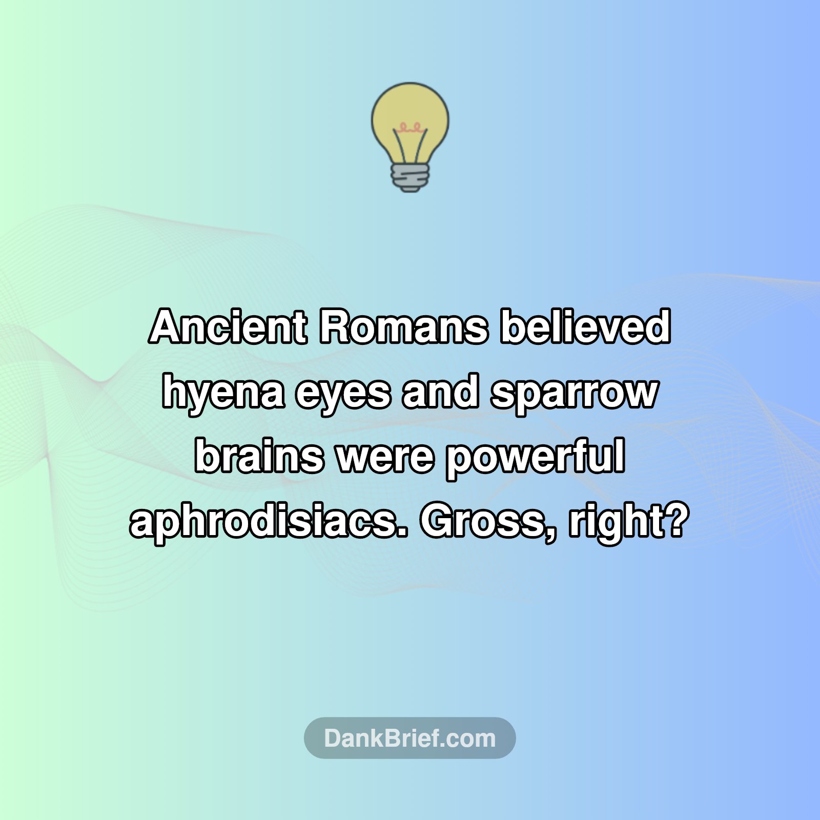 Ancient Aphrodisiacs Were WEIRD!