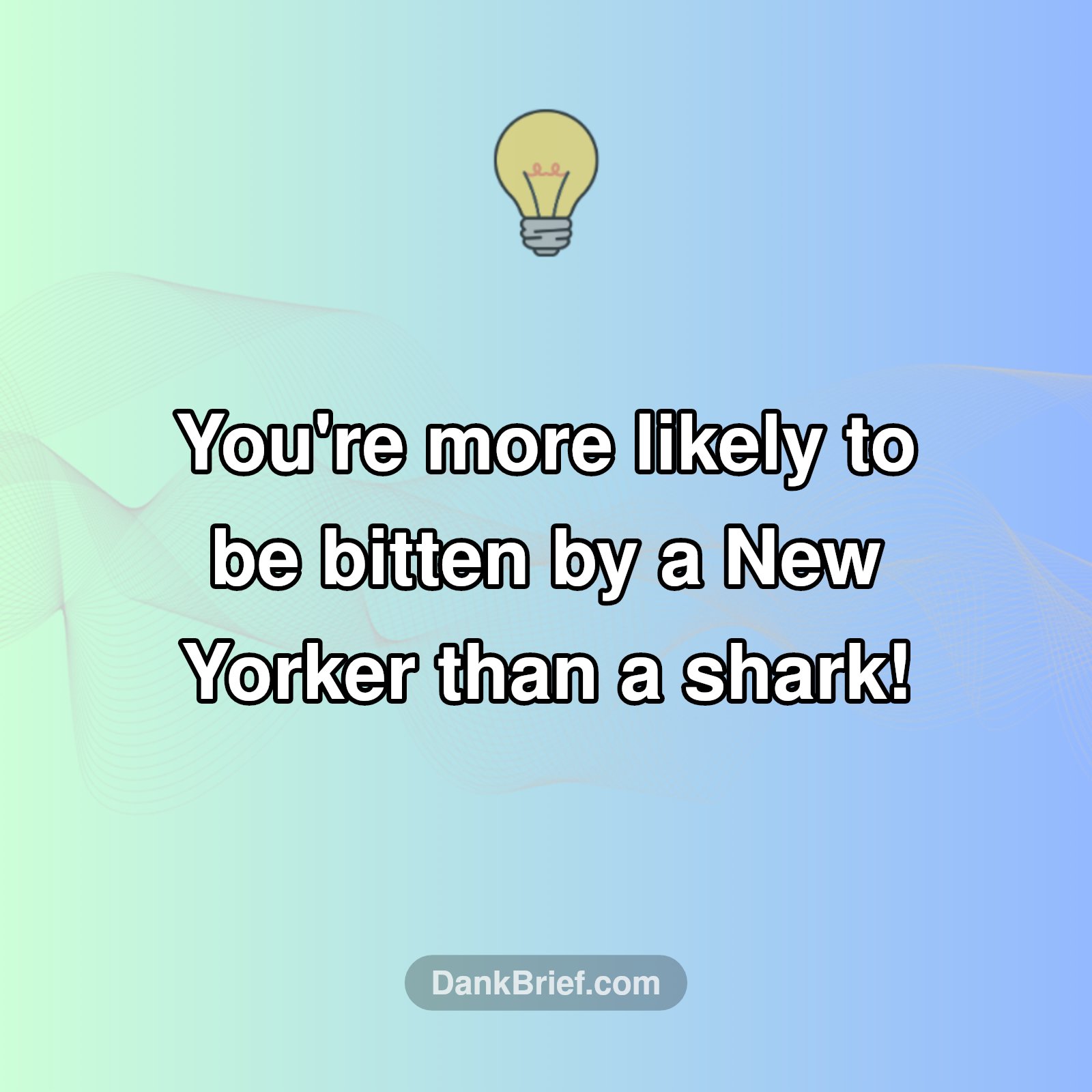 NYC Bites: Surprising Odds!