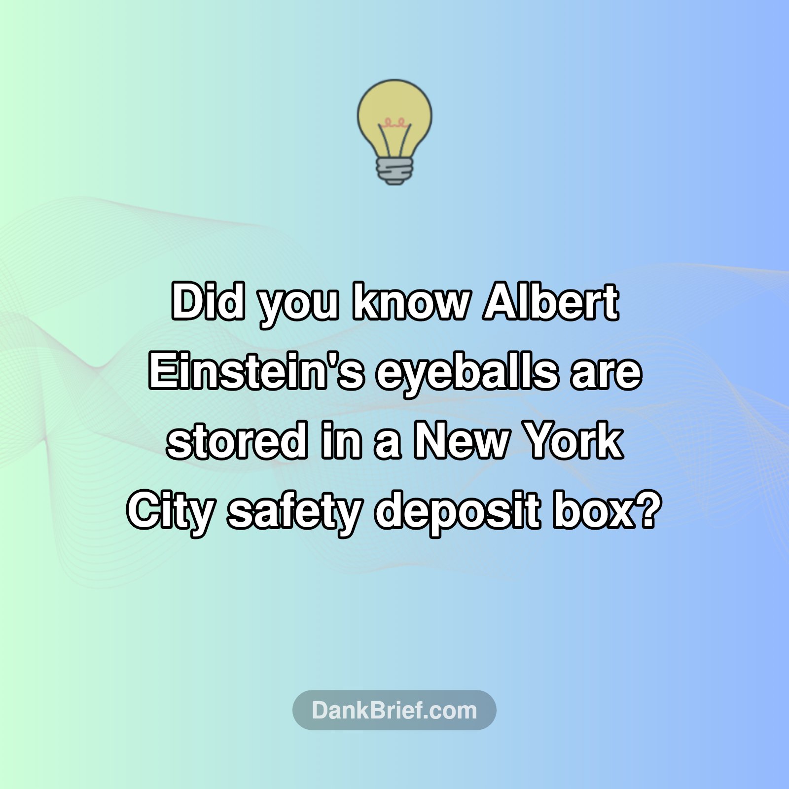 Mind Blown! A Secret About Einstein and NYC!