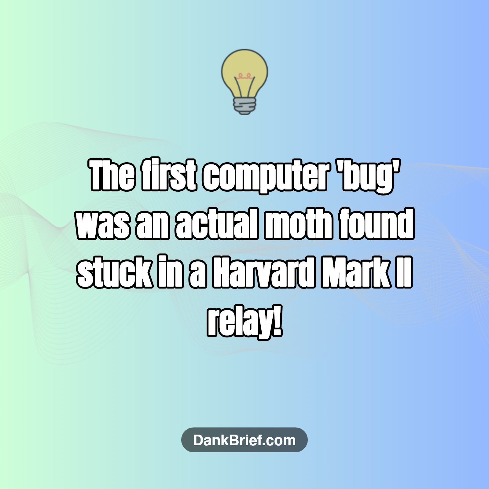 Did You Know…
