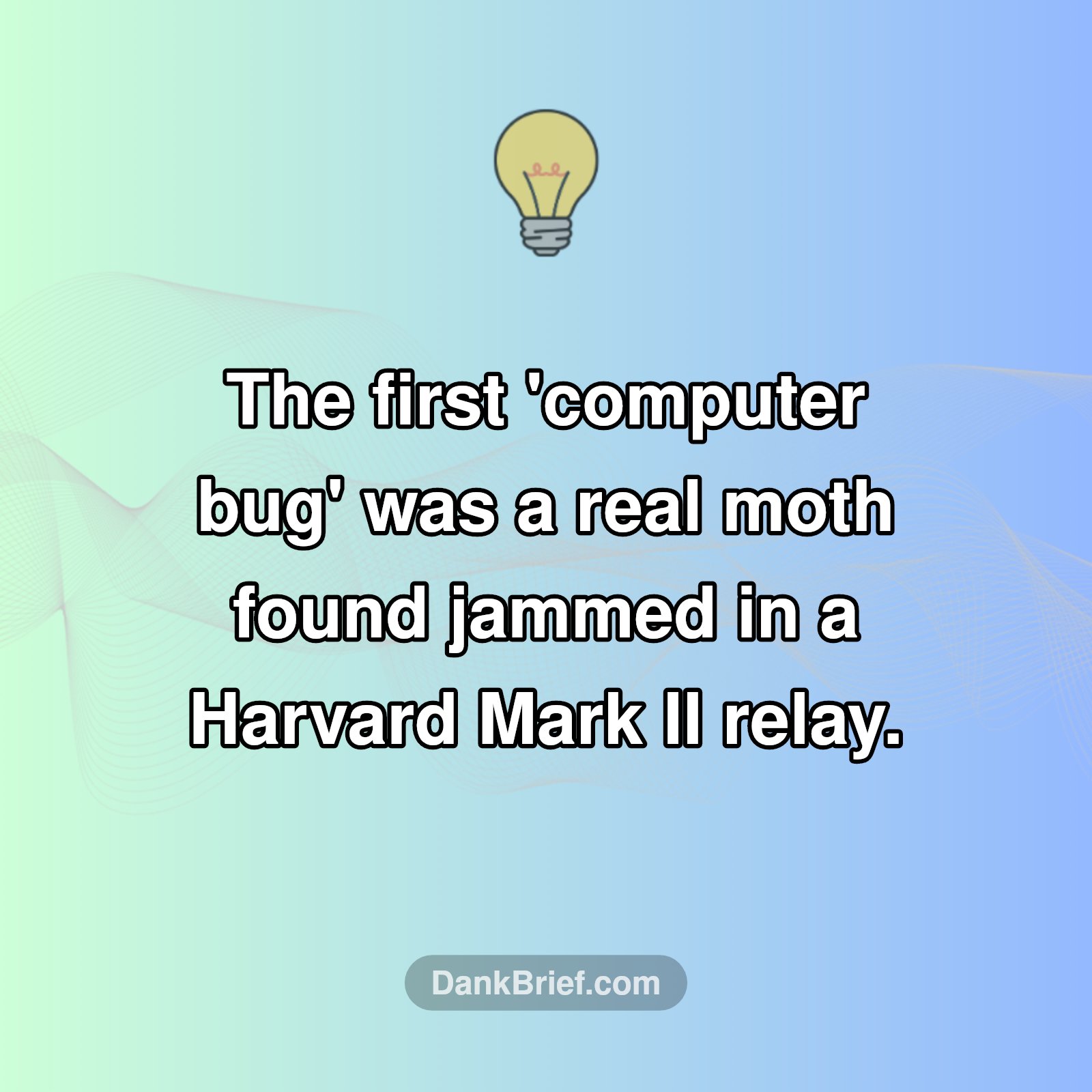 Seriously, a Moth?