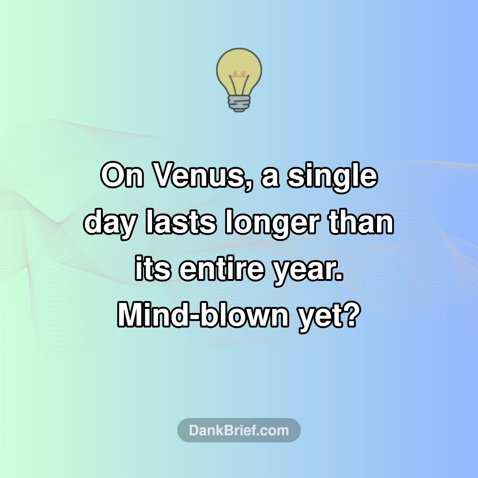 Venus's Wild Calendar!