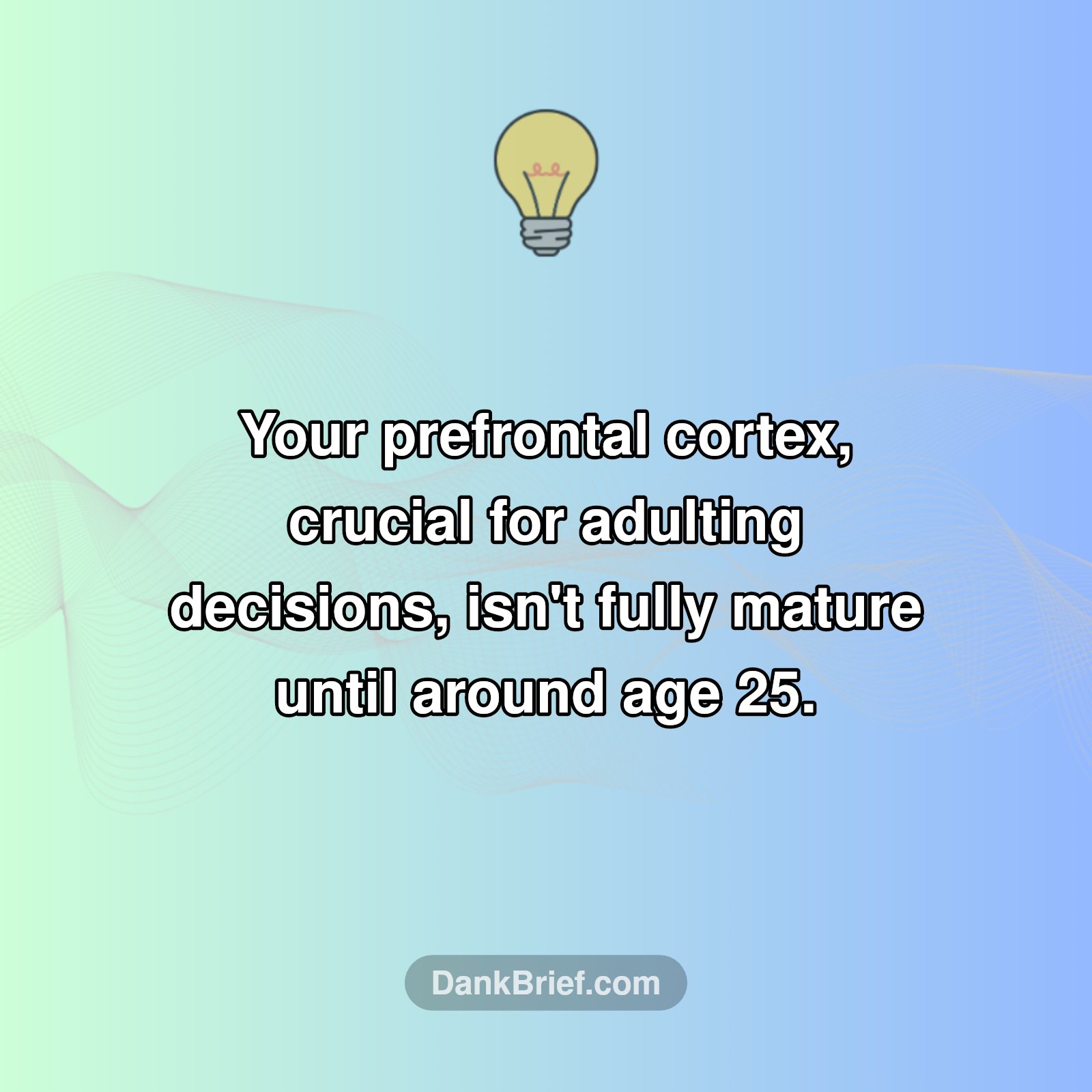 Your Brain Is Still Loading!