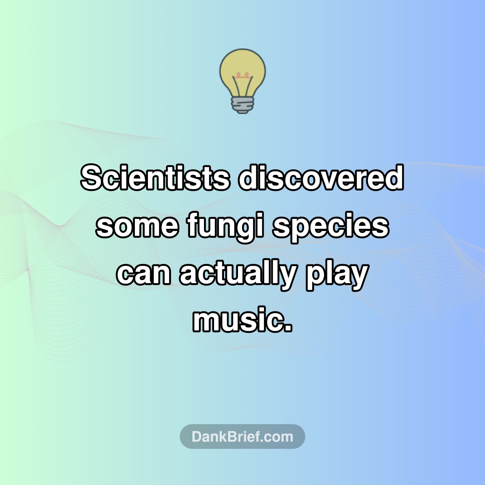 Fungi's Hidden Talent!