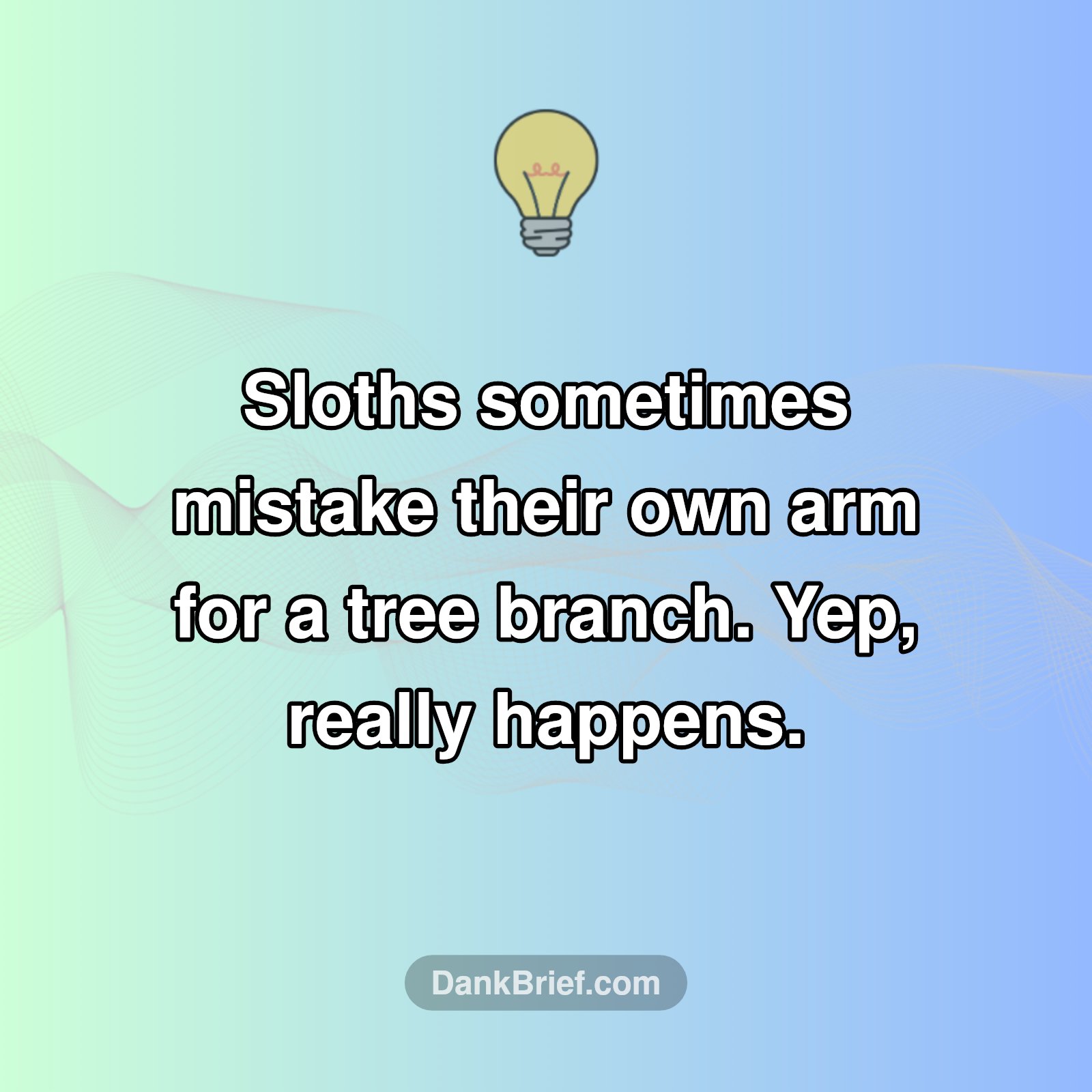 Sloths: Nature's Unintentional Comedians