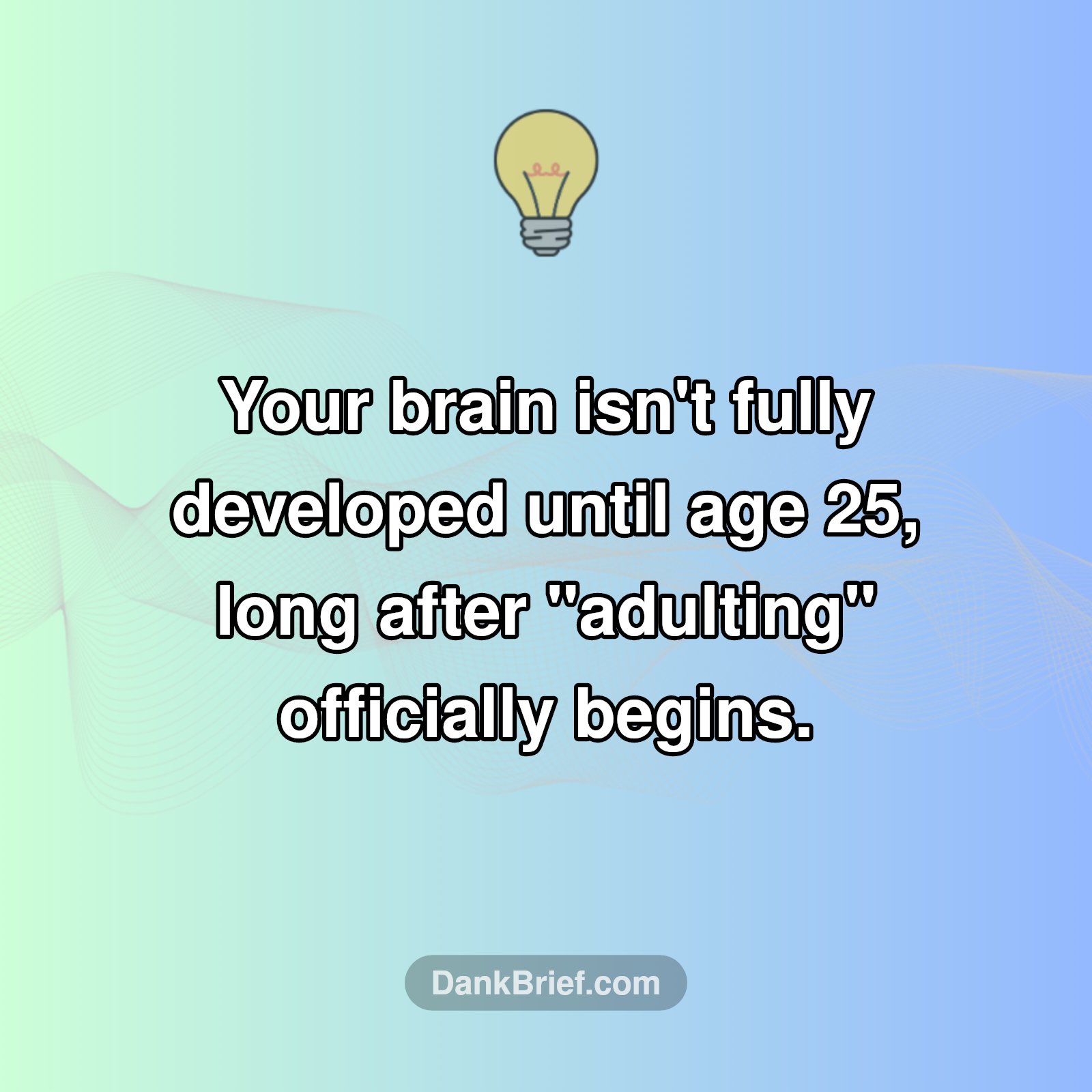 Adulting" Before Your Brain Is Ready?