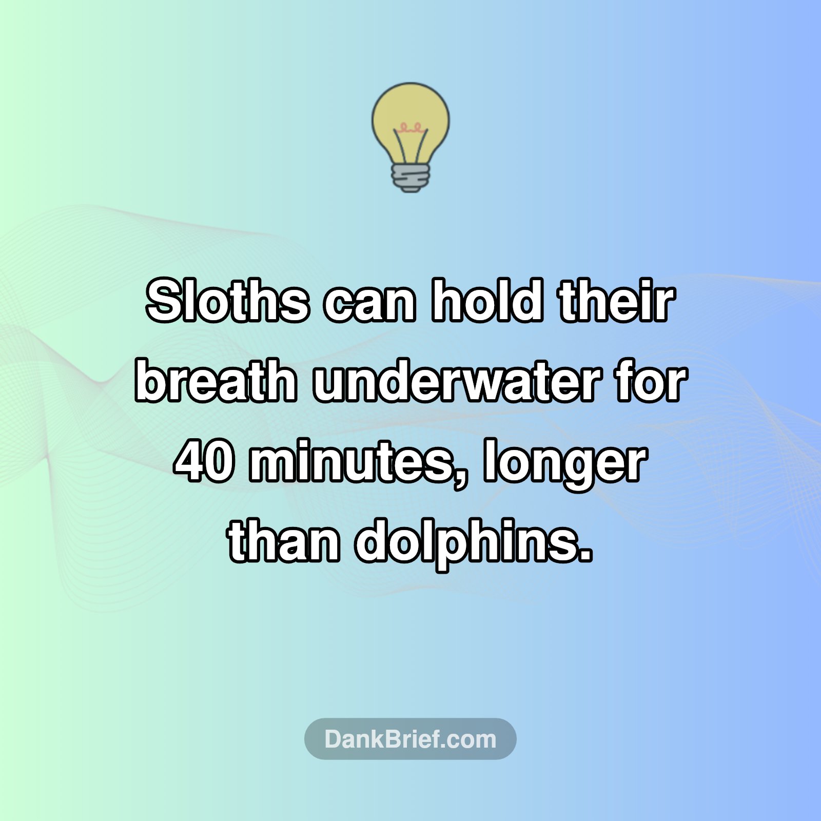 Mind BLOWN: Sloth Superpower!