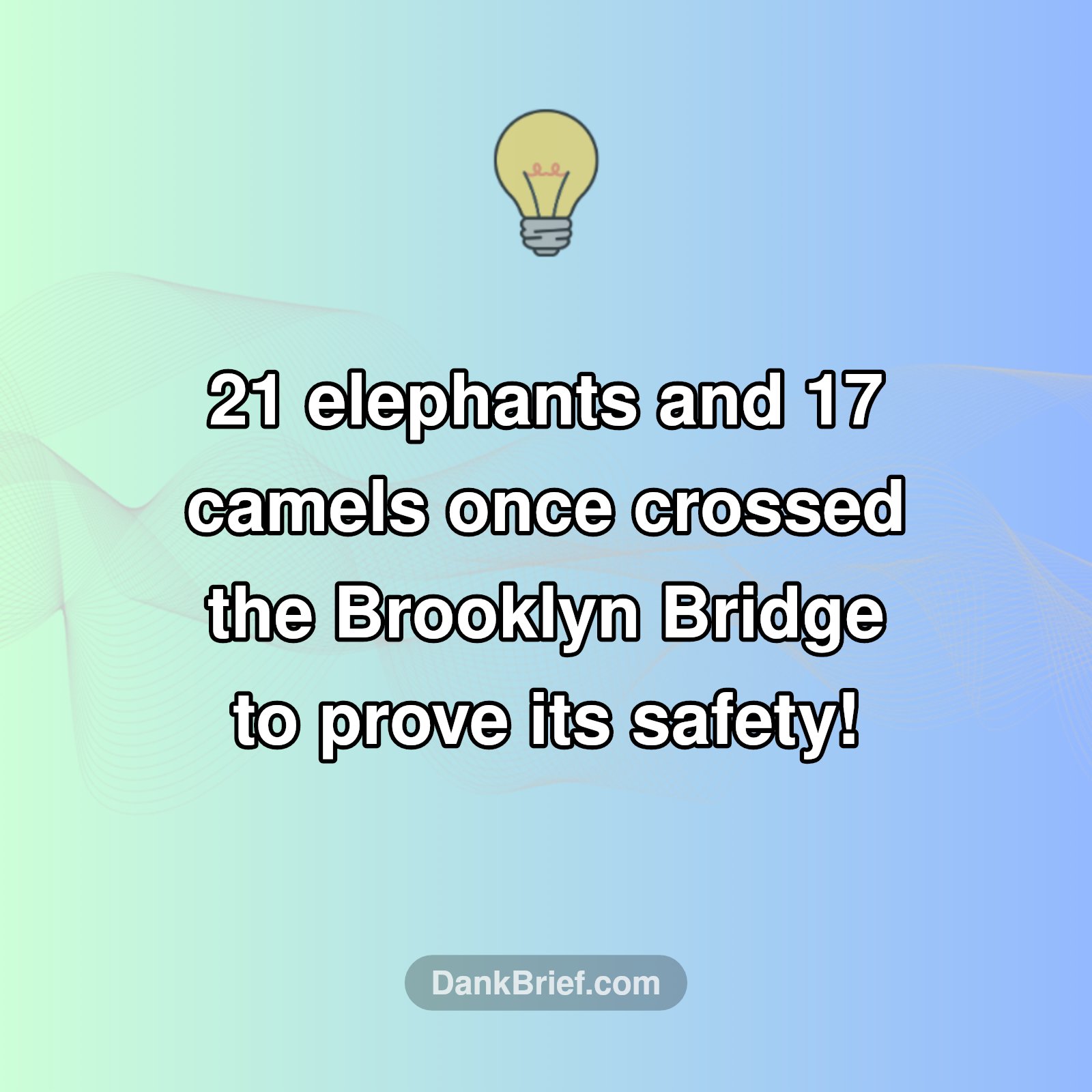 Brooklyn Bridge's Wild Animal Test!