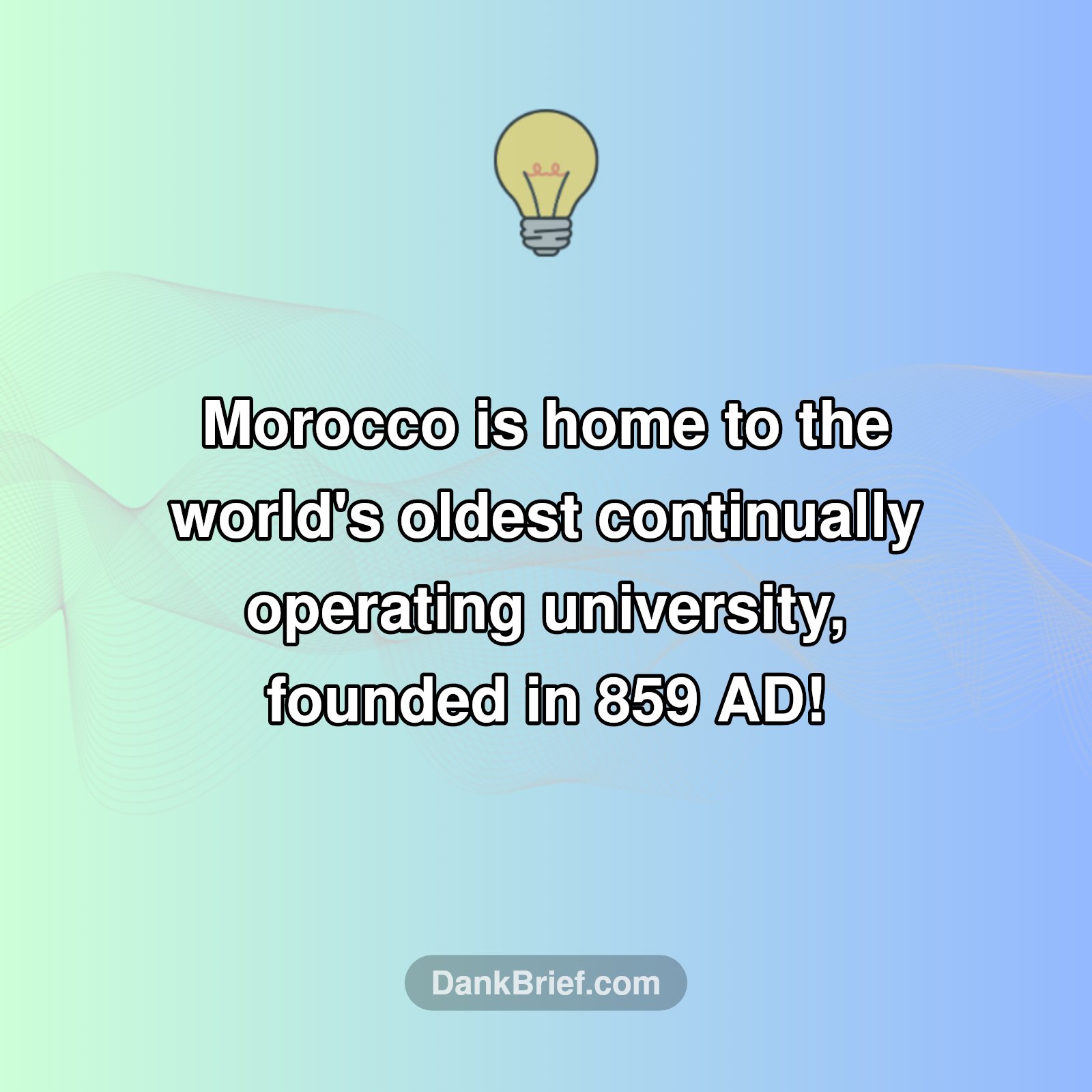 Mind Blown: Morocco's Ancient Knowledge Hub