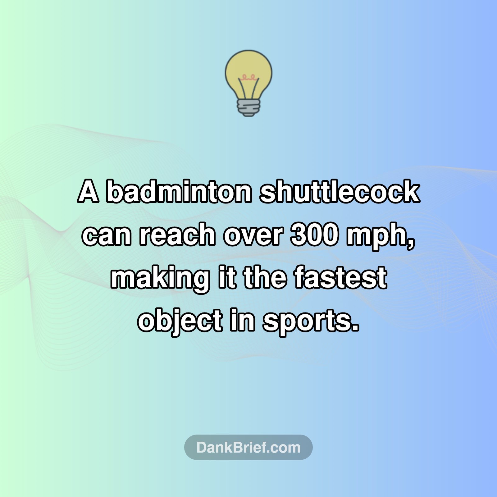 The REAL Fastest Object in Sports?