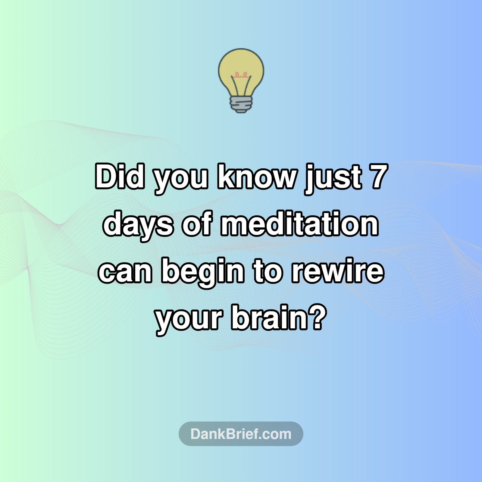 Your Brain on Zen: Quick Rewire!