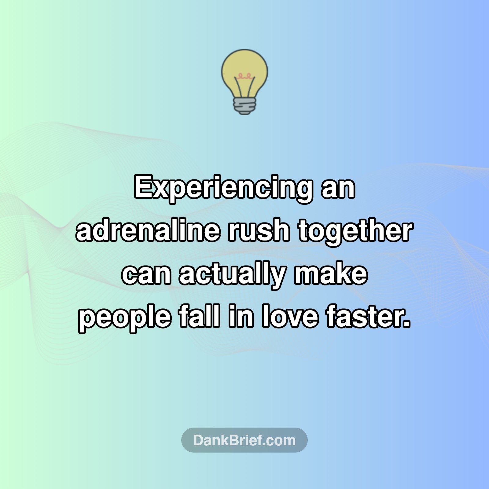 Adrenaline + Love = Match?