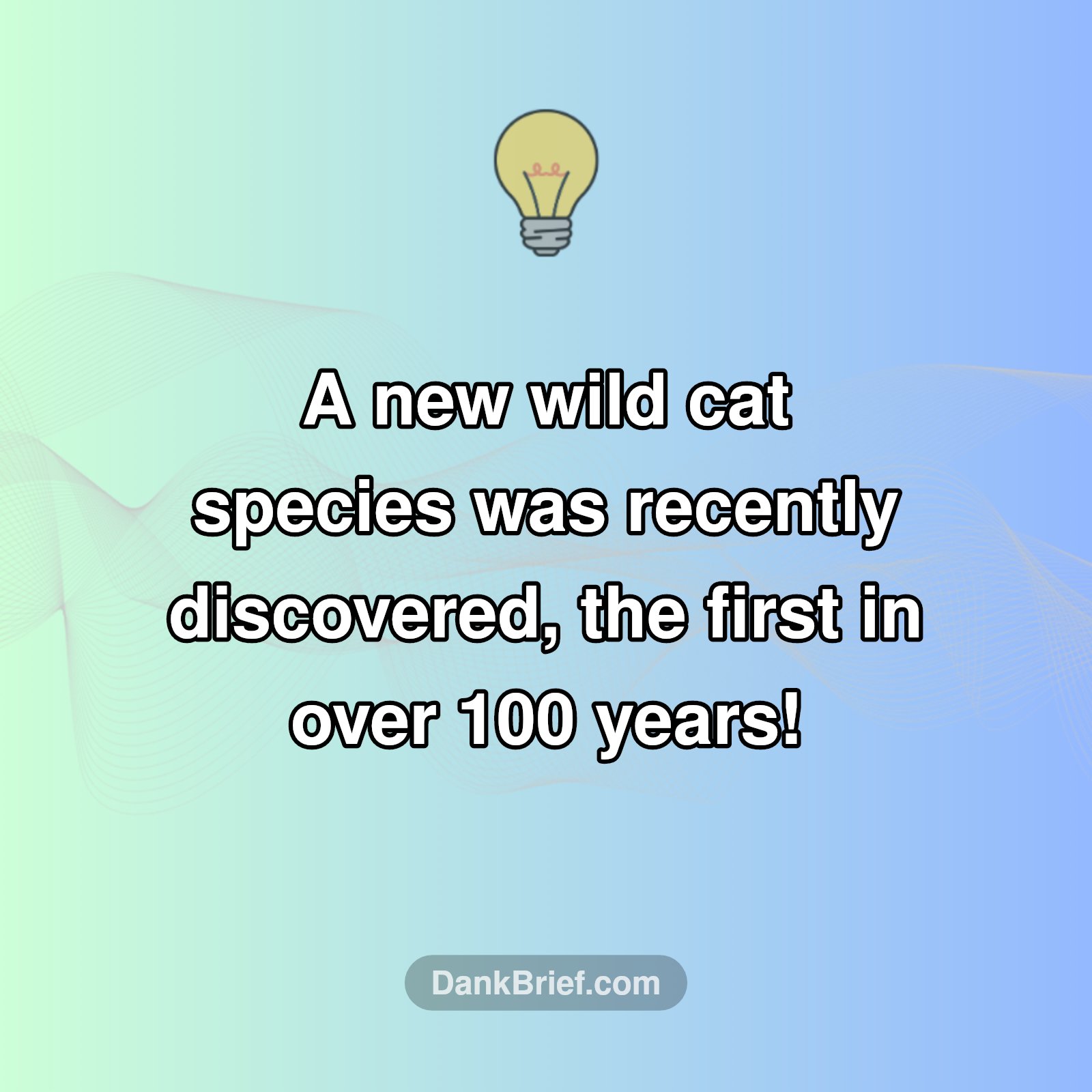 Mind-Blowing Animal Discoveries!