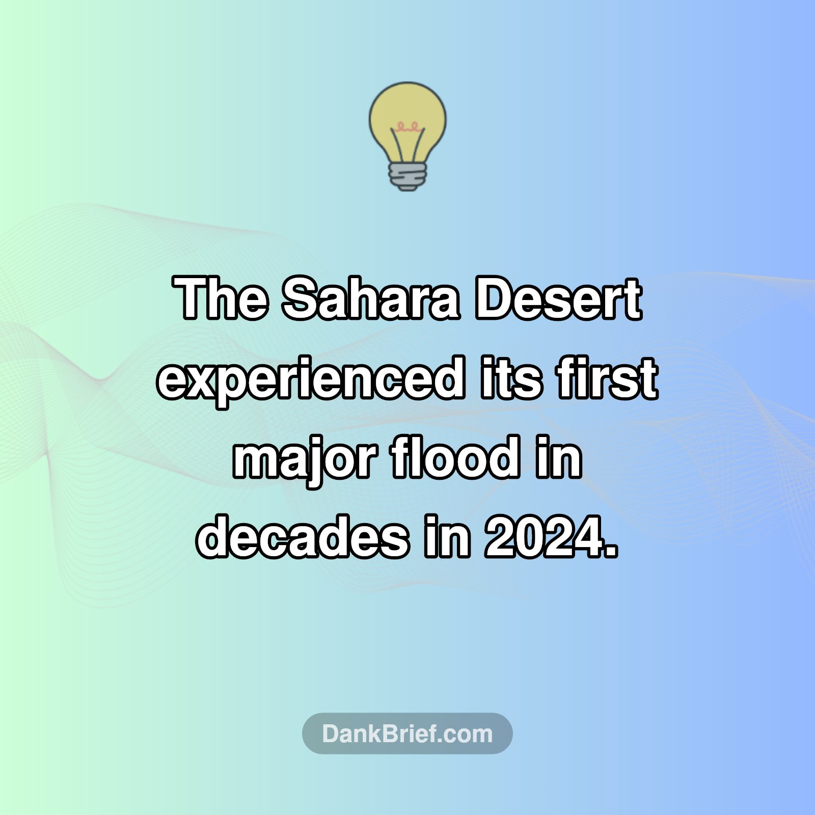 Desert Deluge Shock!