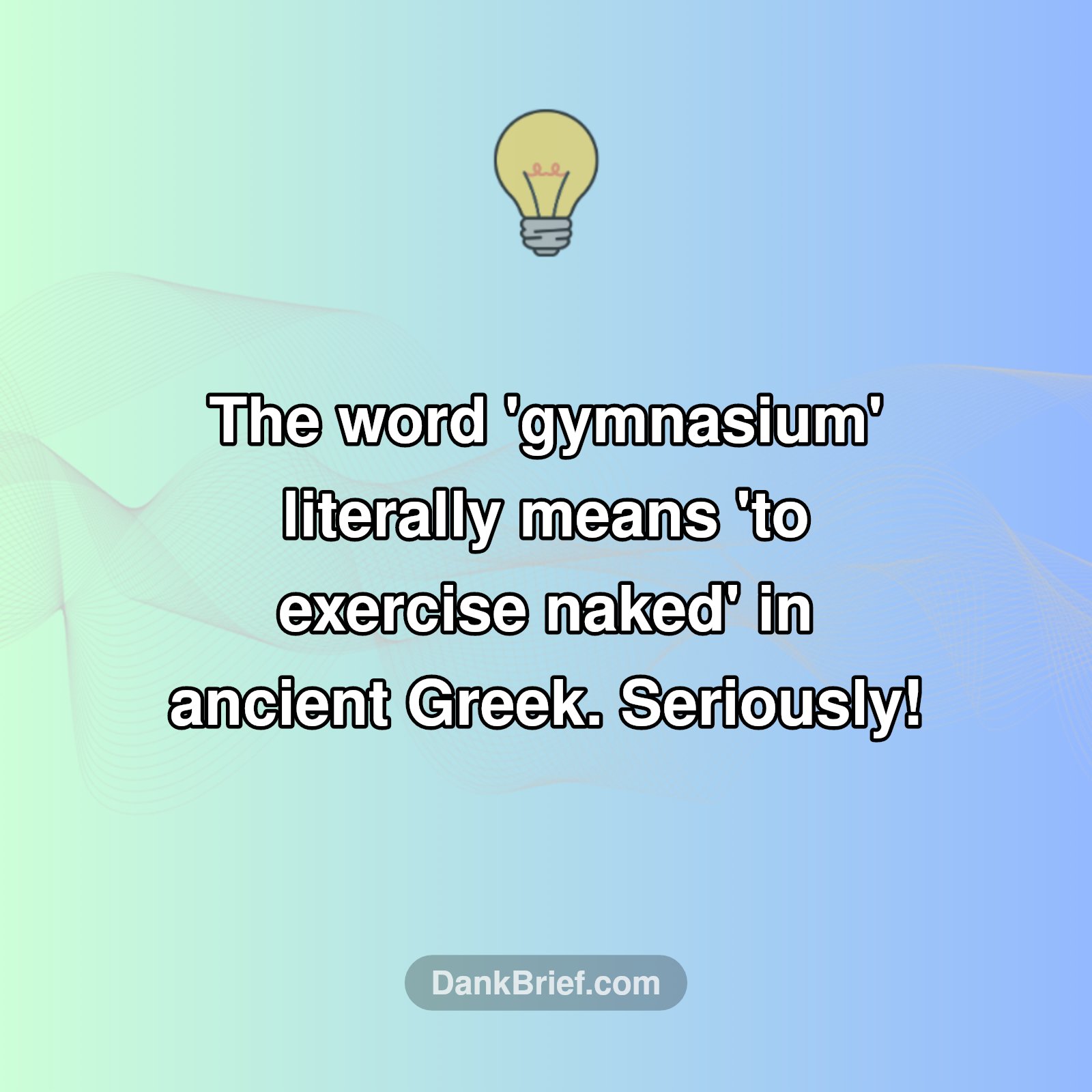 WTF History: Gym Edition!