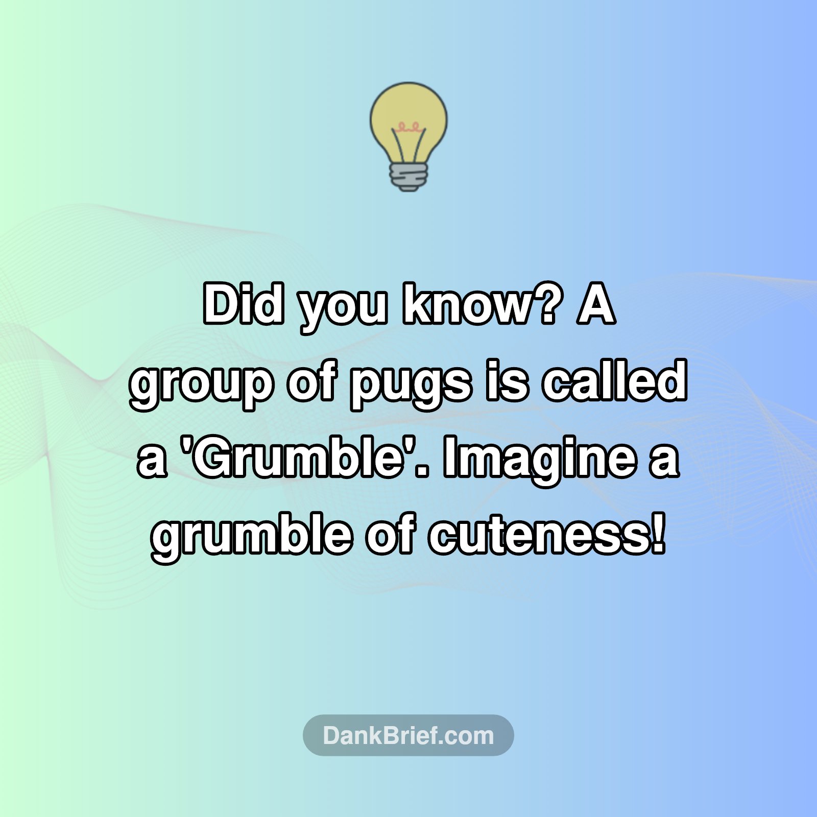 Pug Squad Goals