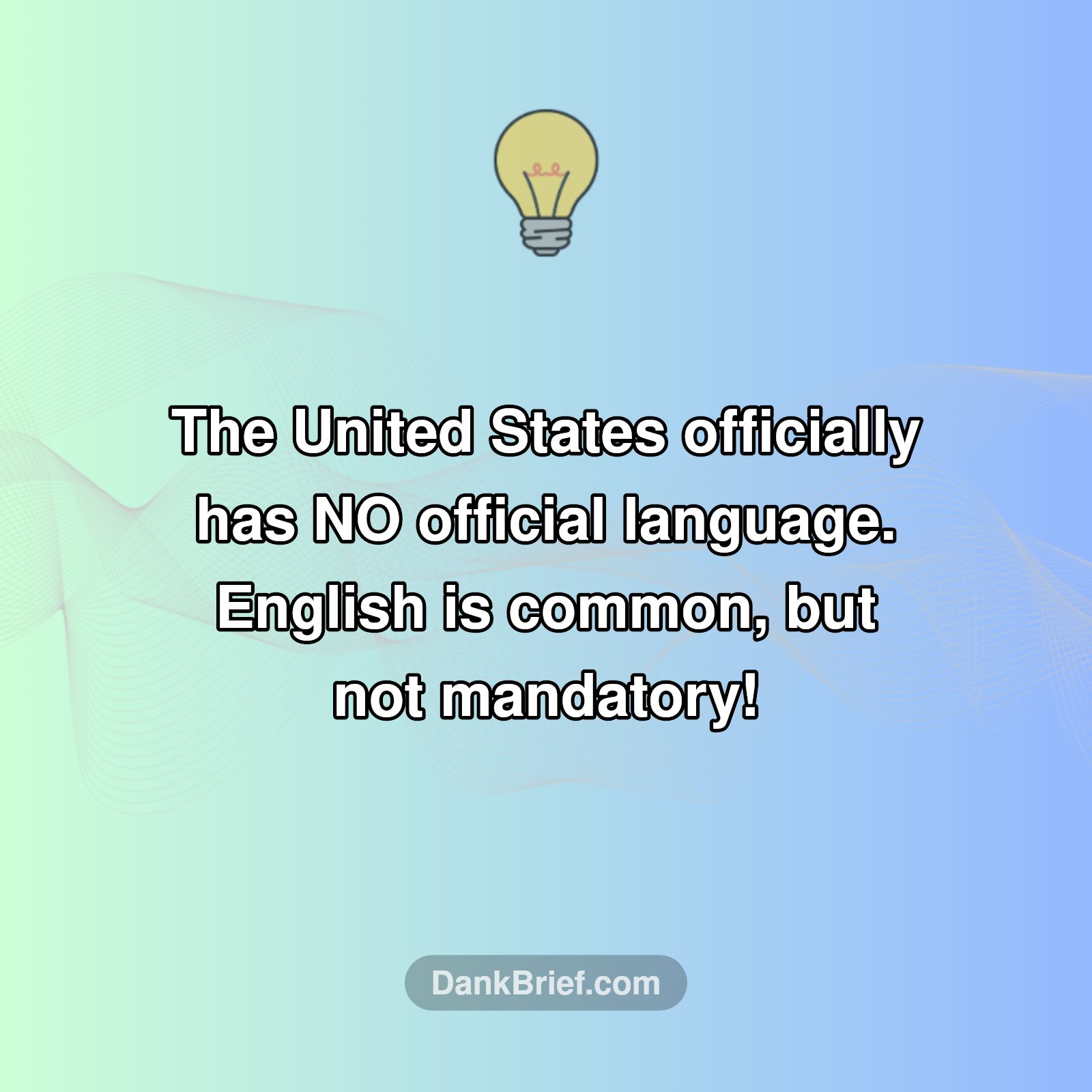 Mind Blown: USA's Secret Language Fact!