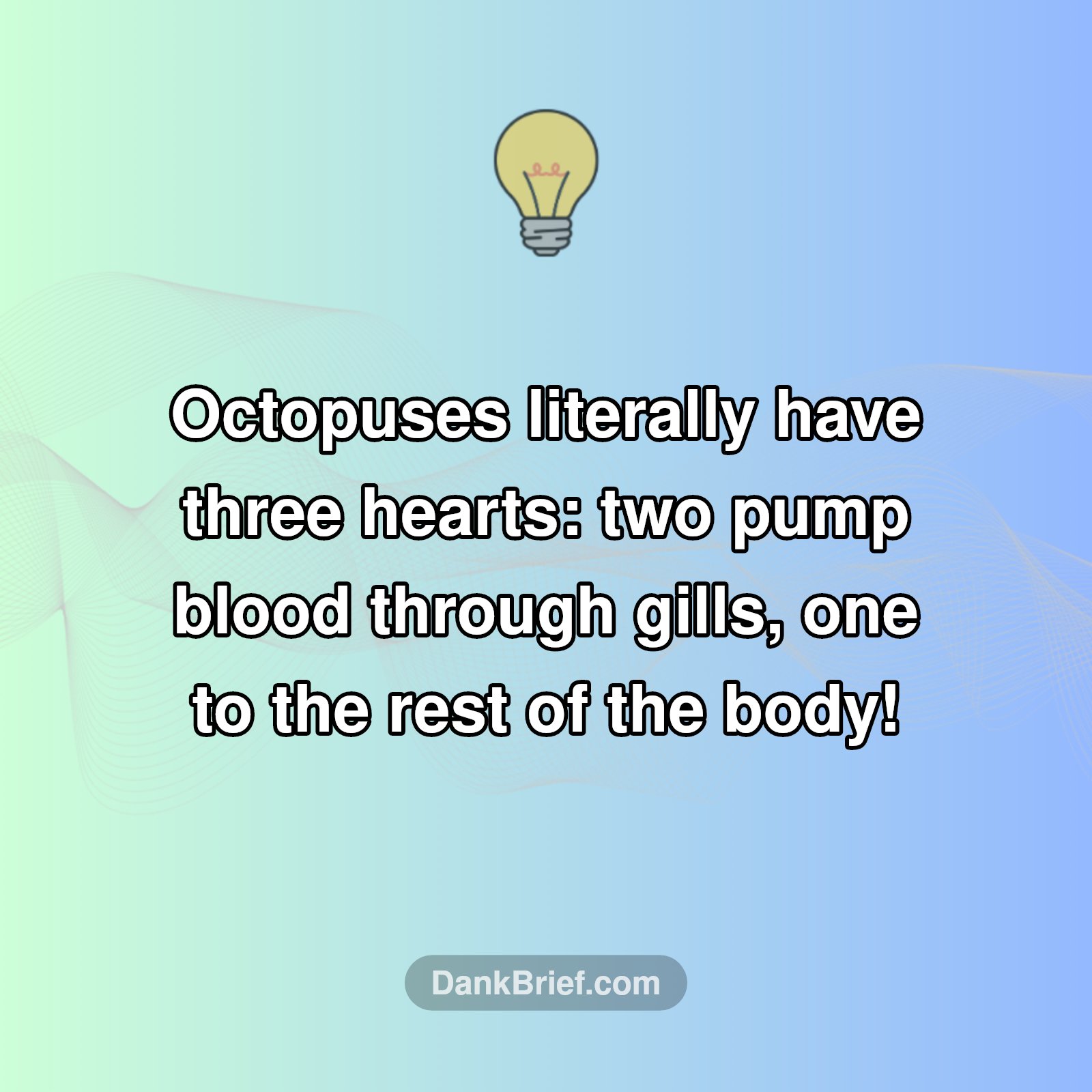 Mind-Blown Marine Biology!