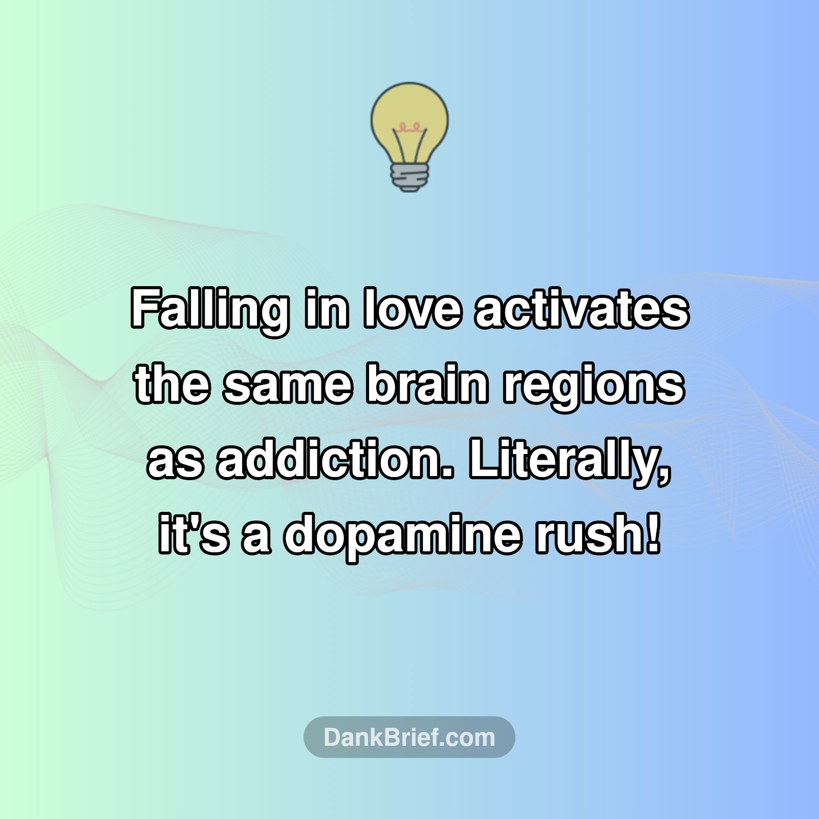Your Brain on Love: It's Kinda Like a Drug!