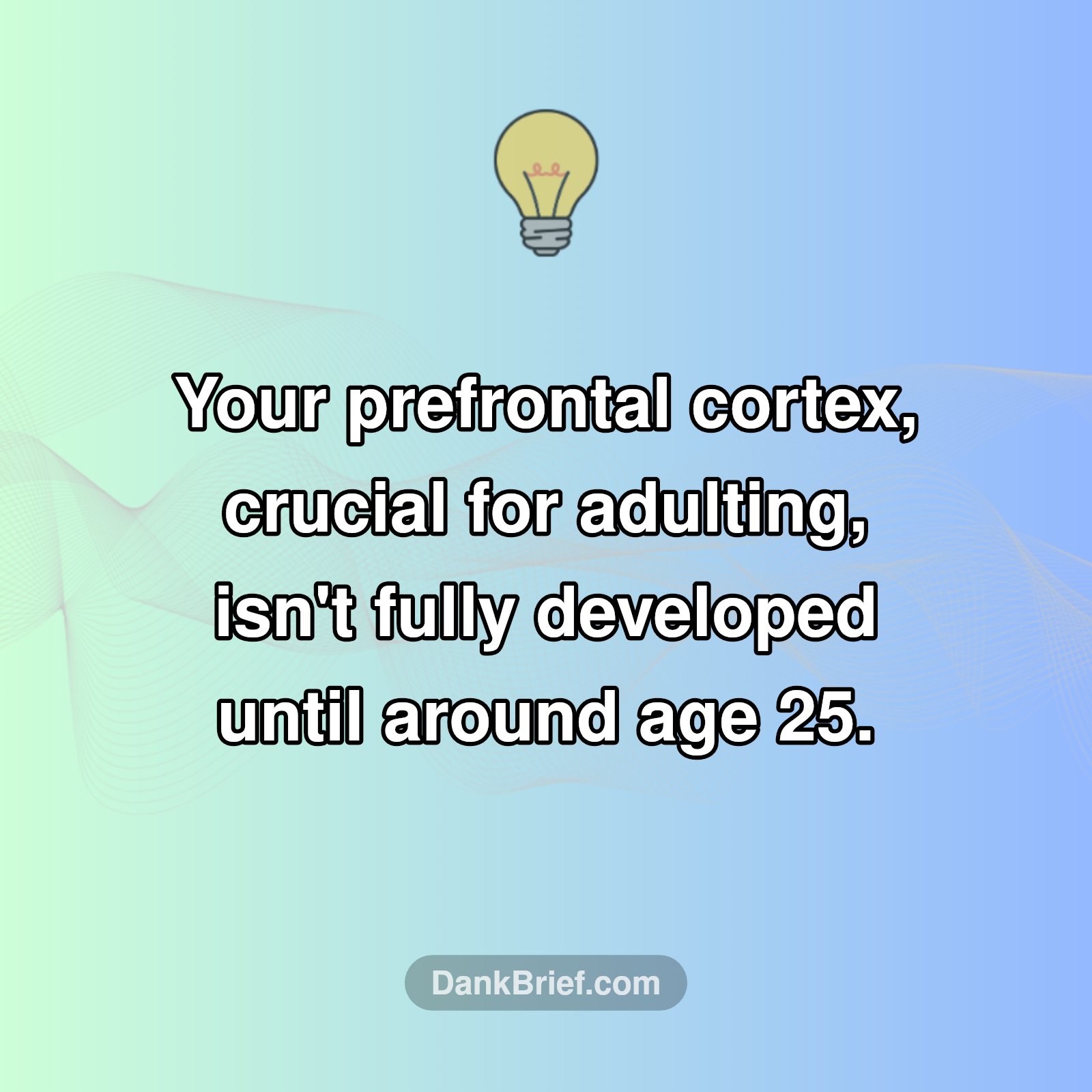 Still Feeling Like a Kid? Blame Your Brain!
