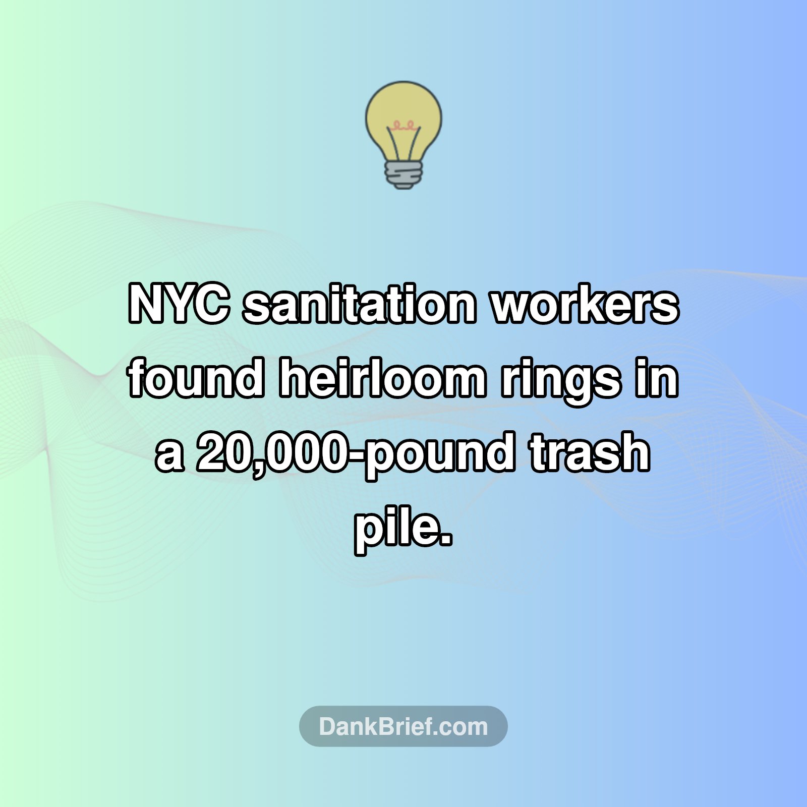 Lost & Found in NYC!