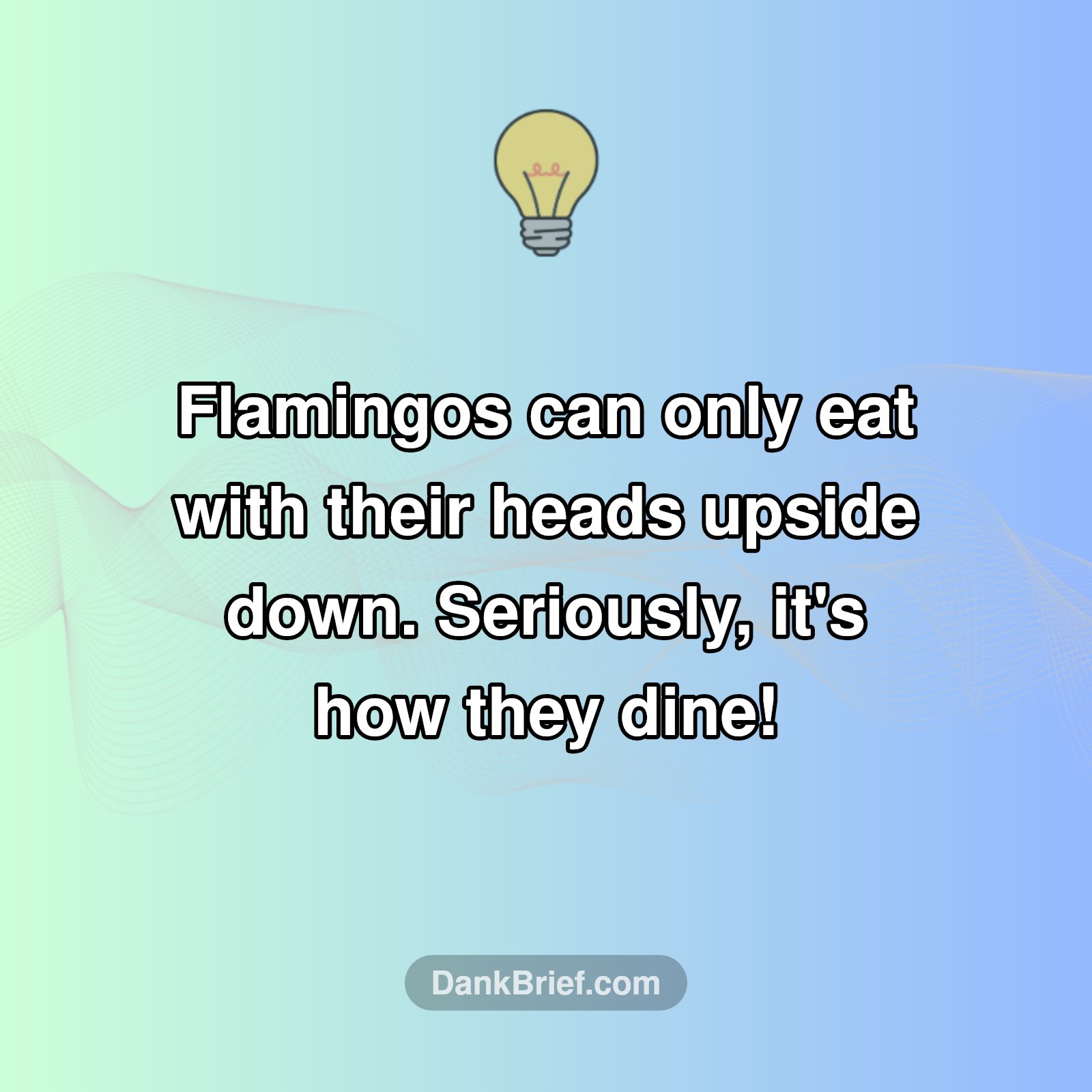 Seriously Weird Eating Habits!