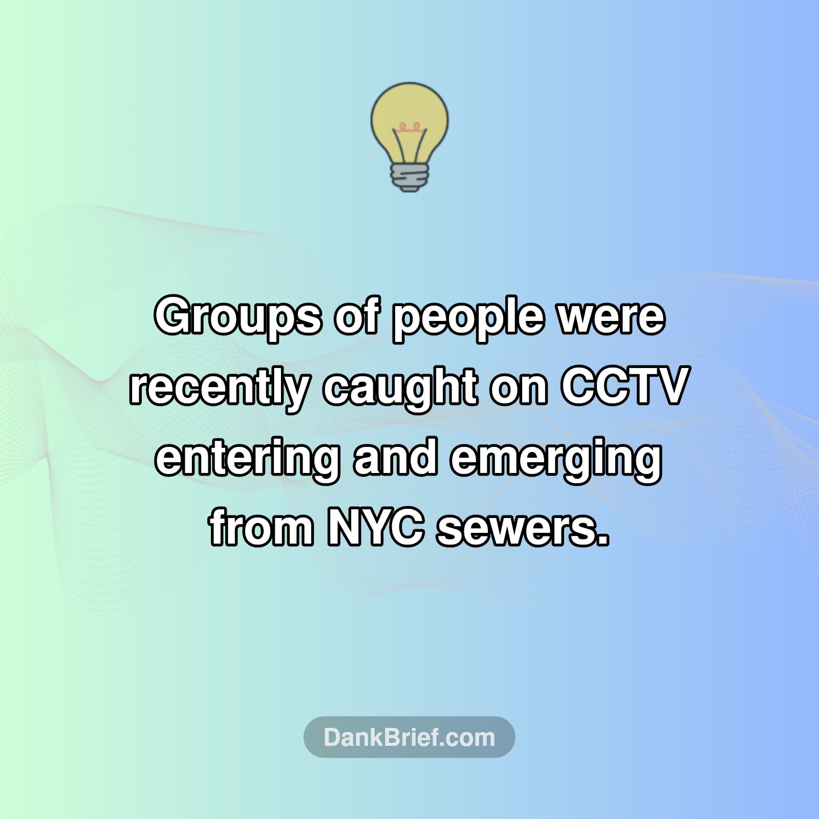 NYC's Underground Mystery