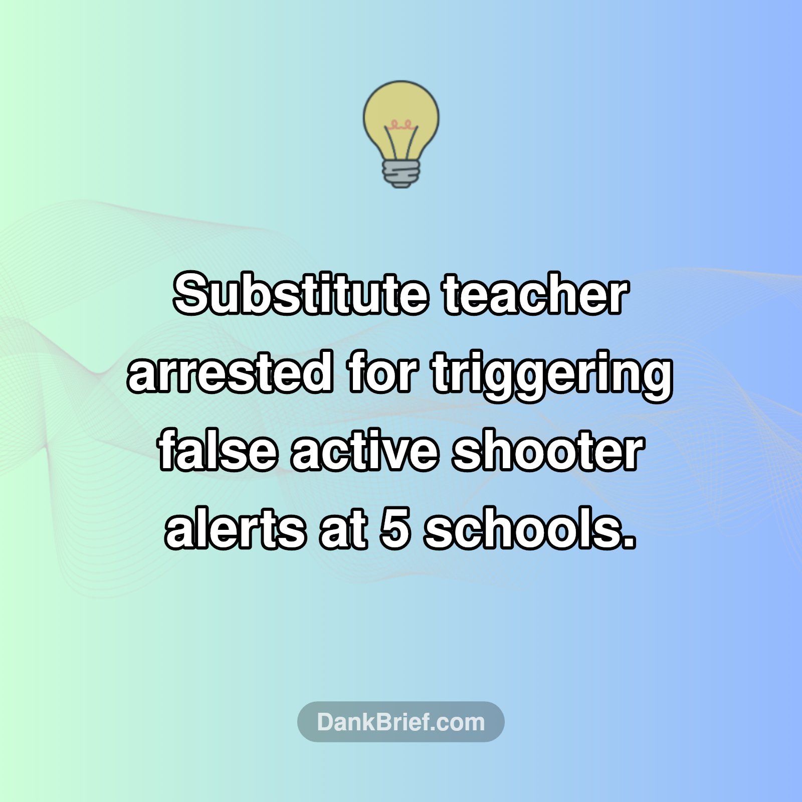 Wild School Alert Saga!